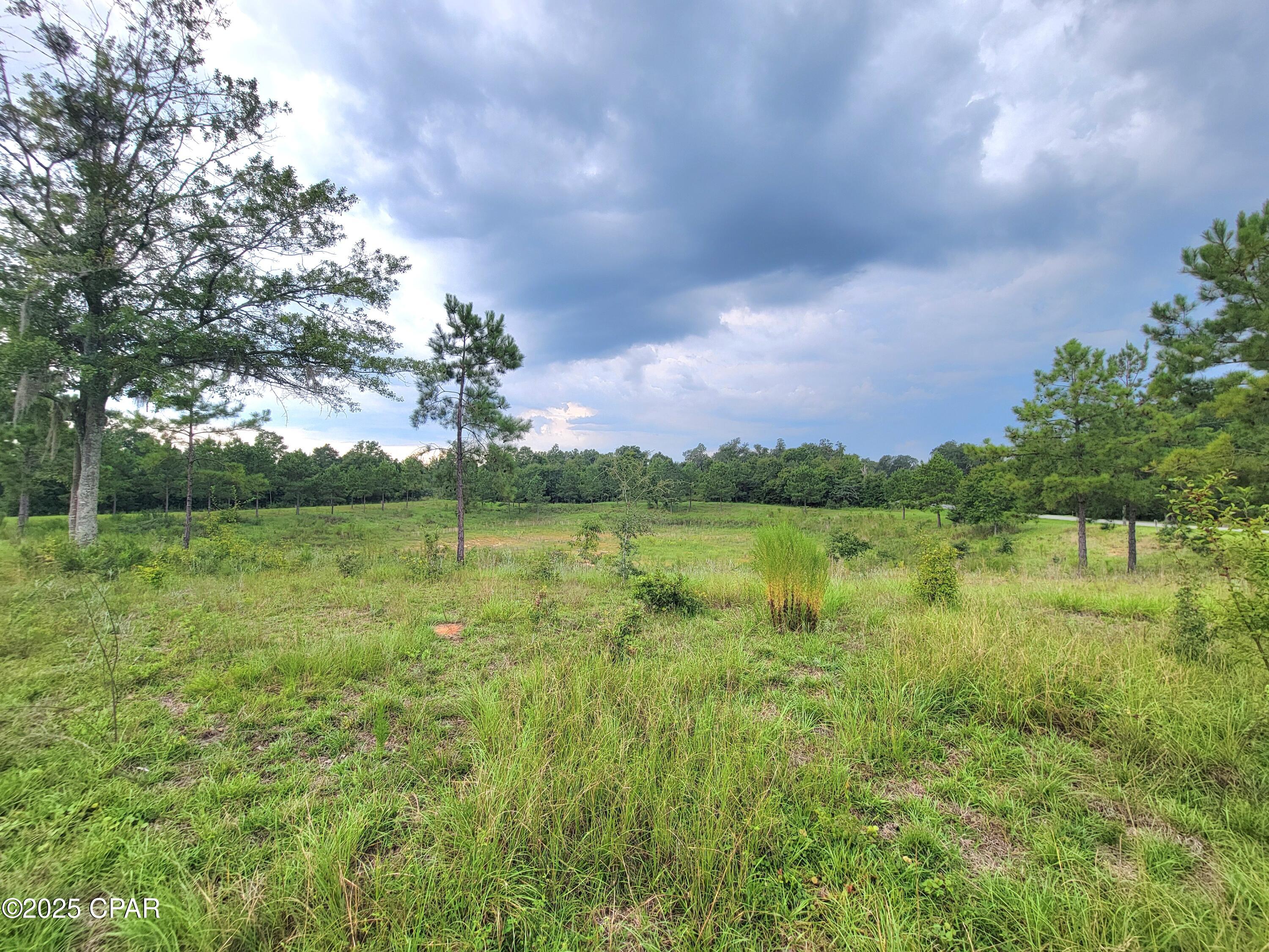 Homes for sale in Bascom, FL | 00 Lovedale Rd, Bascom, FL 32423 | MLS# 777977