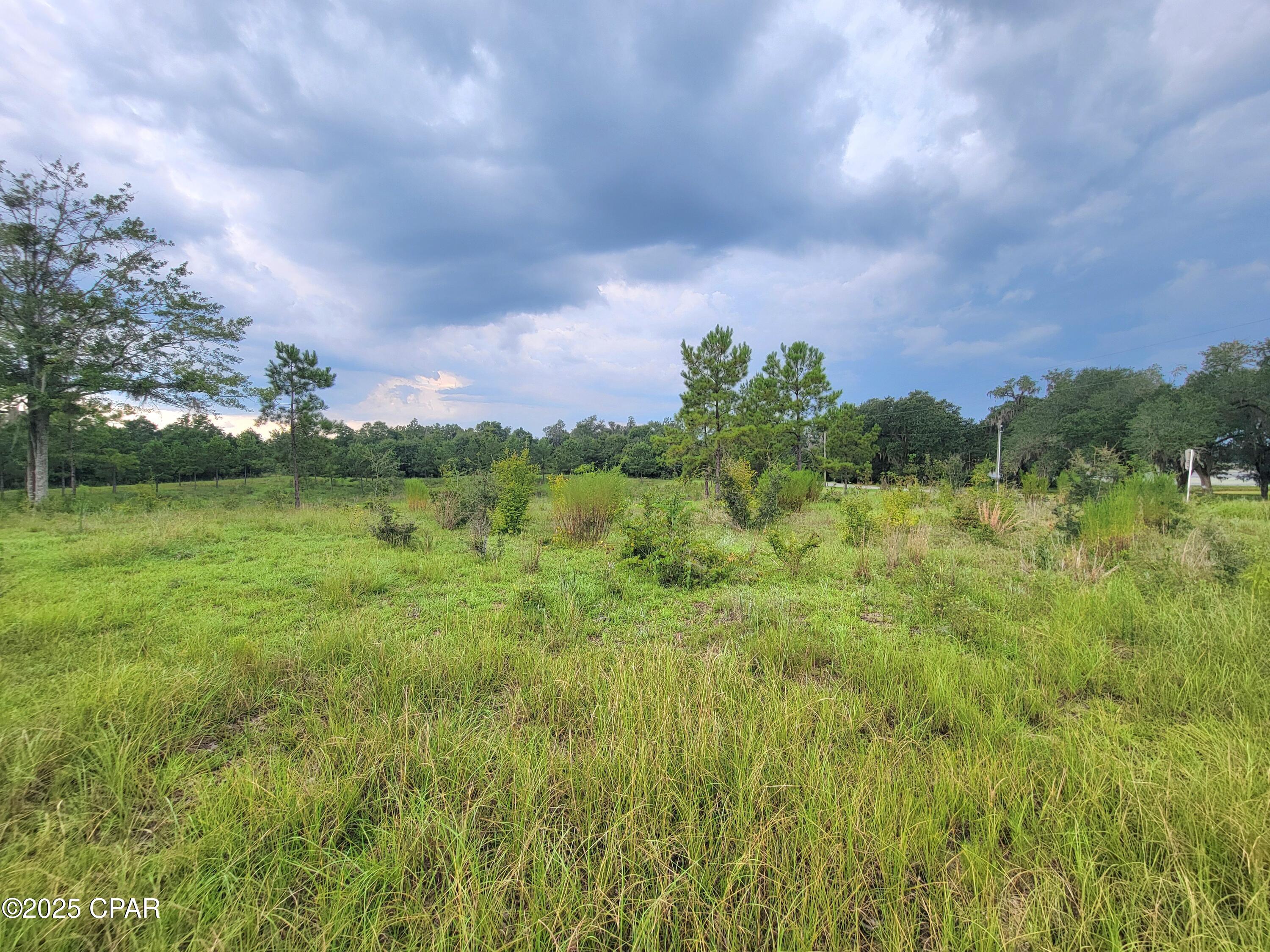 Homes for sale in Bascom, FL | 00 Lovedale Rd, Bascom, FL 32423 | MLS# 777977