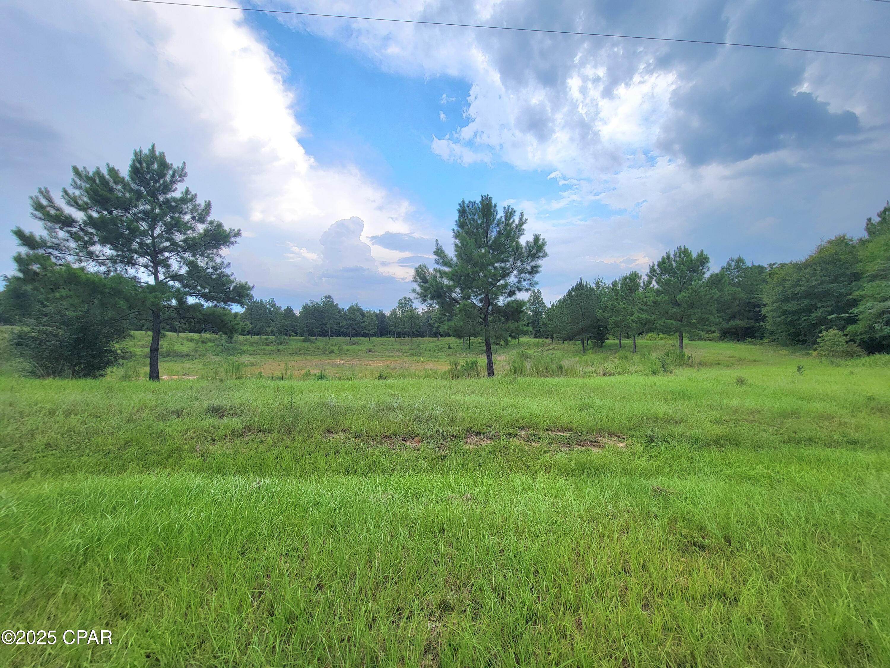 Homes for sale in Bascom, FL | 00 Lovedale Rd, Bascom, FL 32423 | MLS# 777977