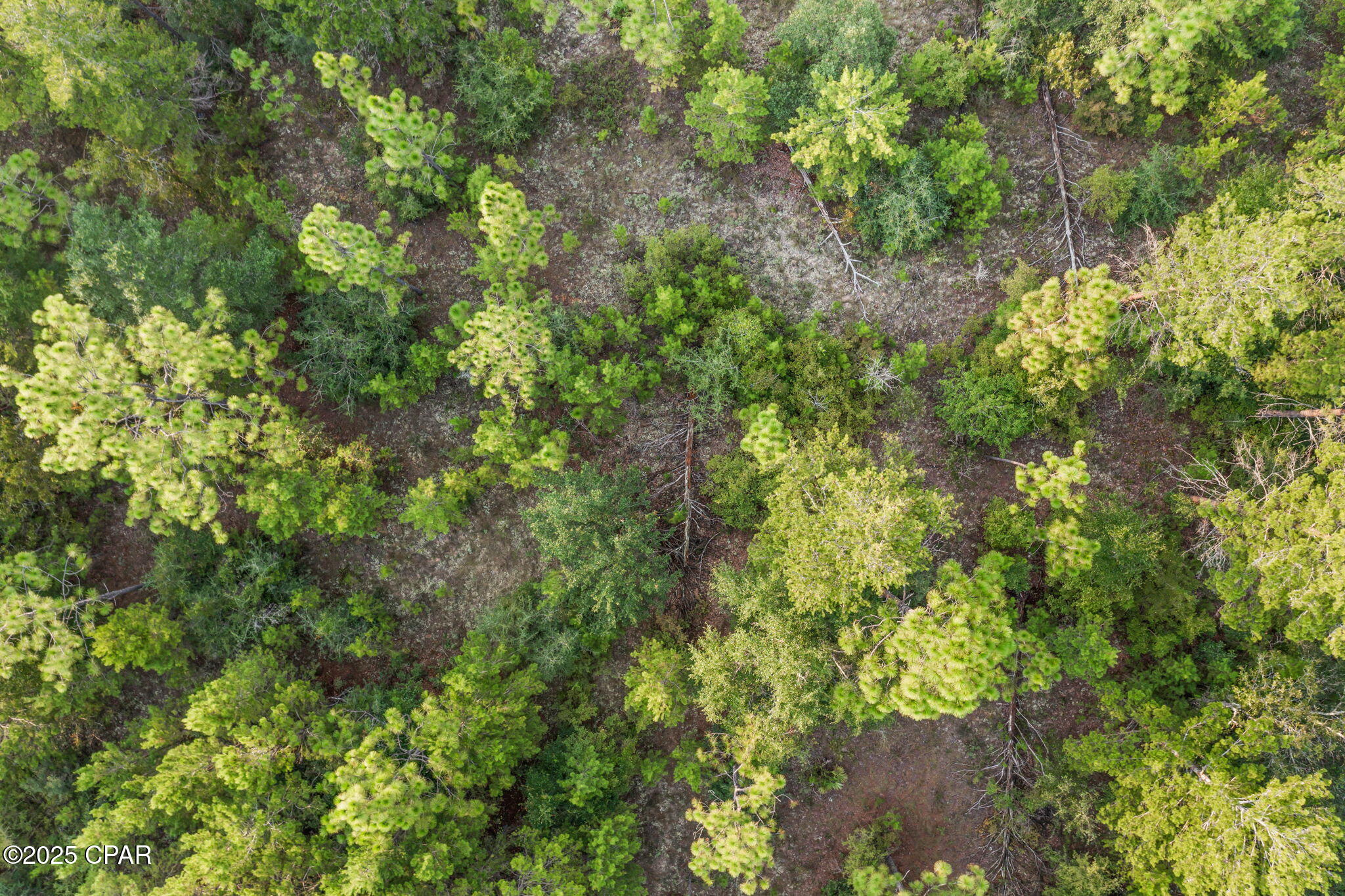 Image 18 For Xxx Shenandoah Boulevard