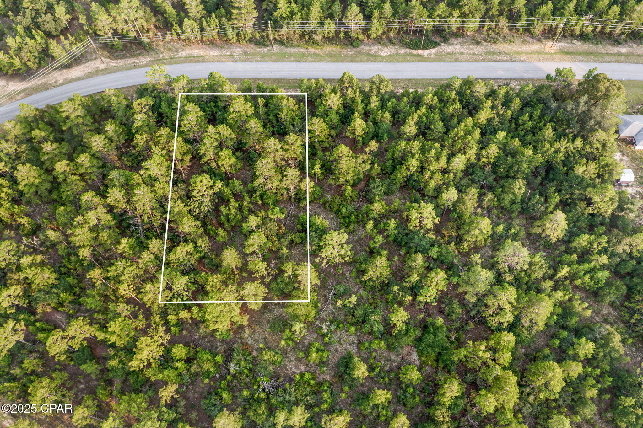 Image 8 For Xxx Shenandoah Boulevard