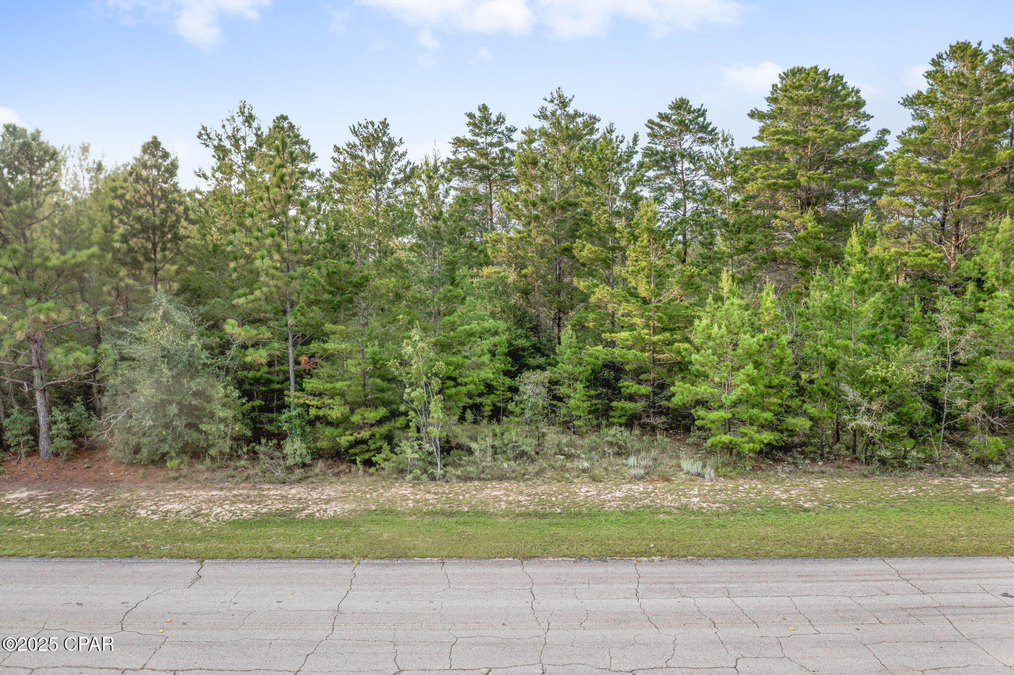 Image 9 For Xxx Shenandoah Boulevard