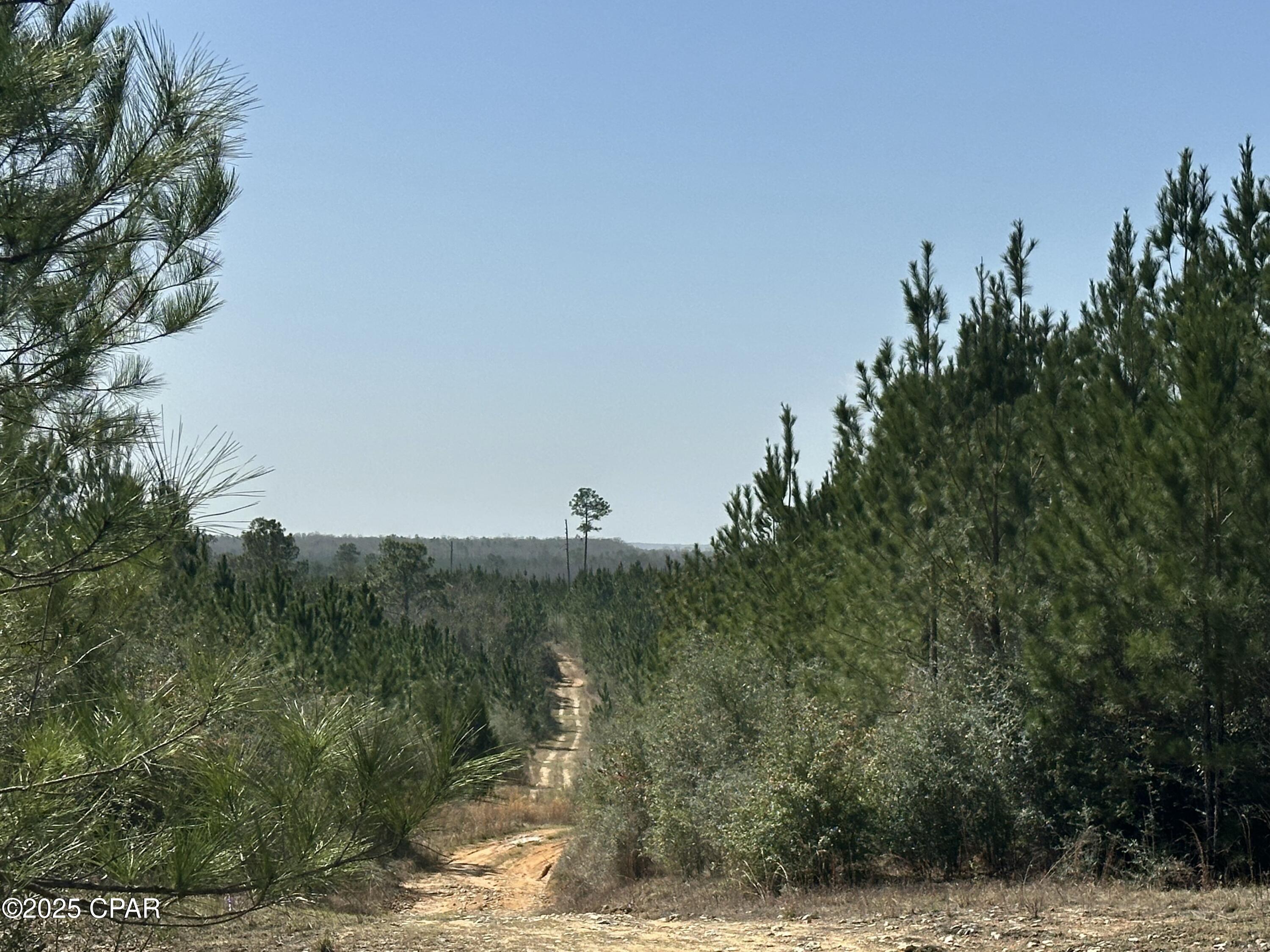 Image 1 For Tract#6416 S Douglas Ferry Road