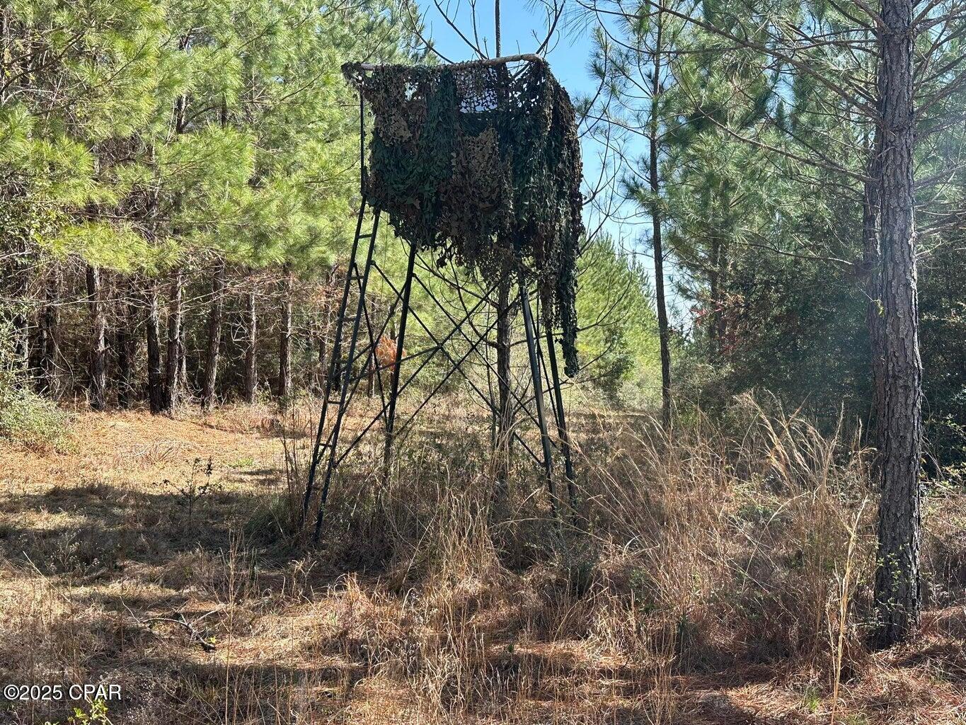 Image 10 For Tract#6416 S Douglas Ferry Road