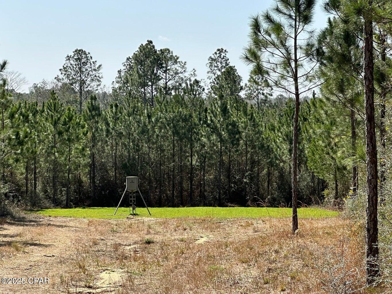 Image 12 For Tract#6416 S Douglas Ferry Road