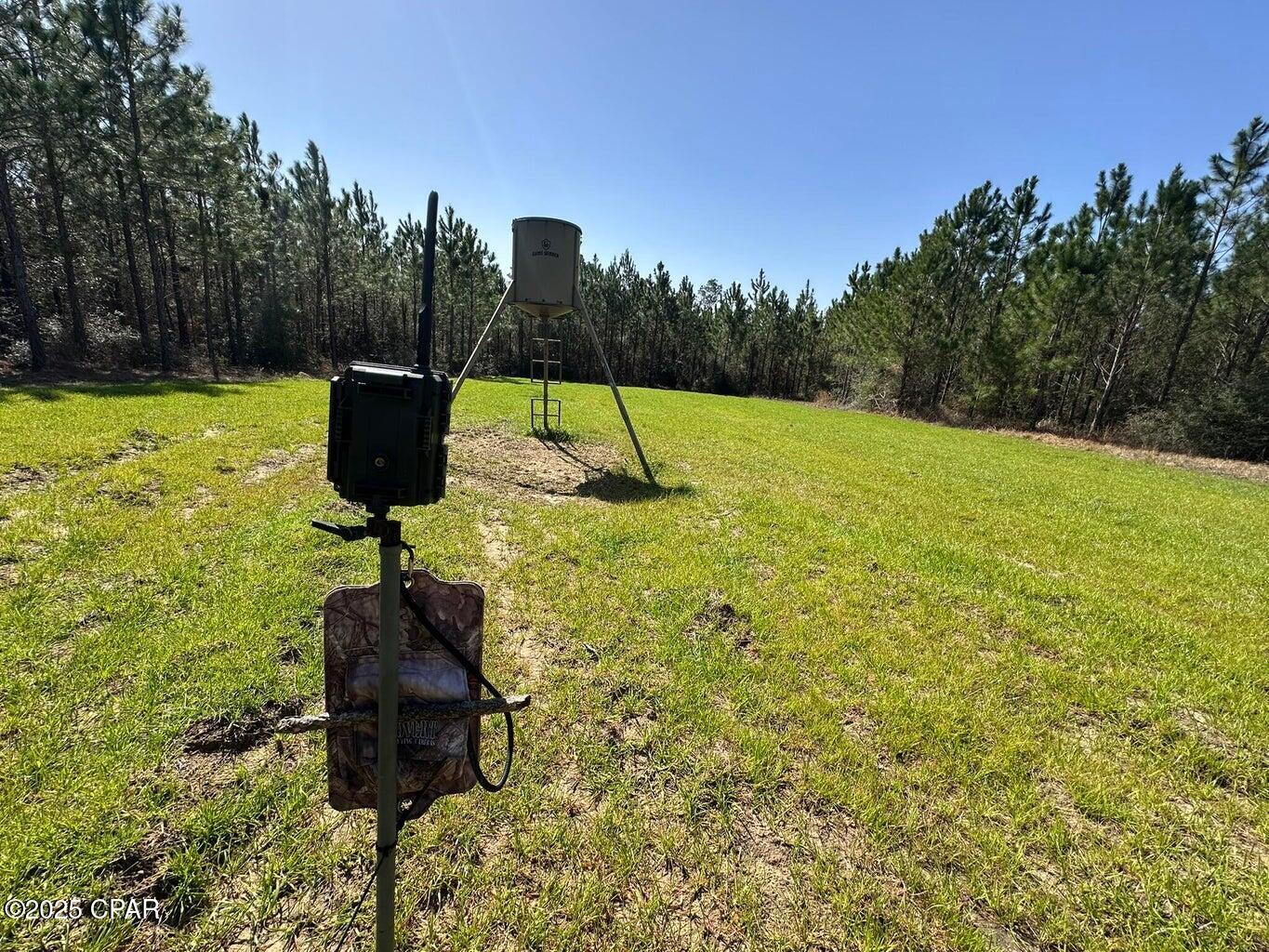 Image 13 For Tract#6416 S Douglas Ferry Road