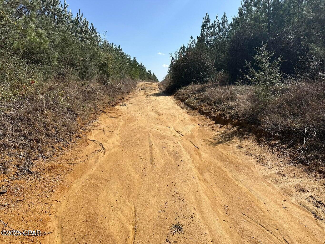 Image 3 For Tract#6416 S Douglas Ferry Road