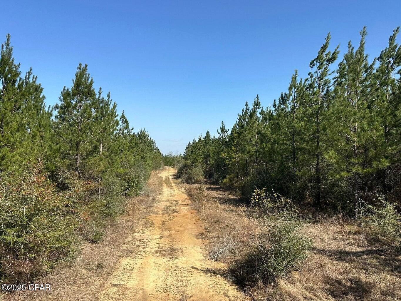 Image 5 For Tract#6416 S Douglas Ferry Road