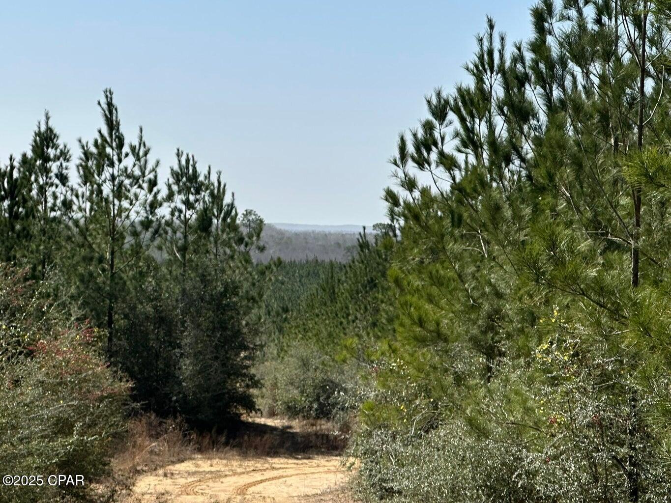 Image 5 For Tract#6416 S Douglas Ferry Road