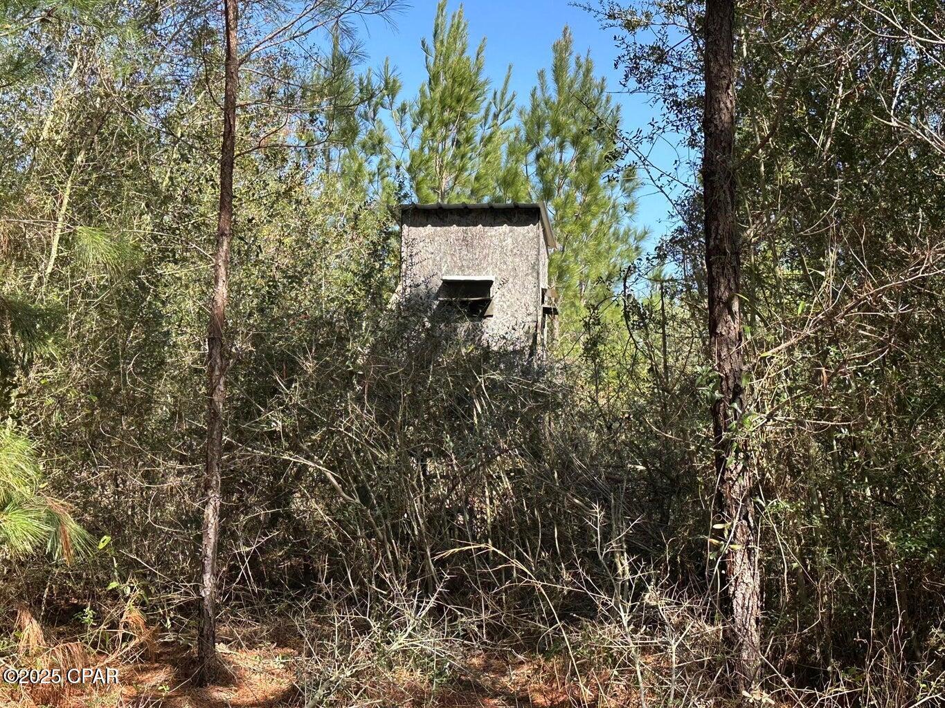 Image 8 For Tract#6416 S Douglas Ferry Road