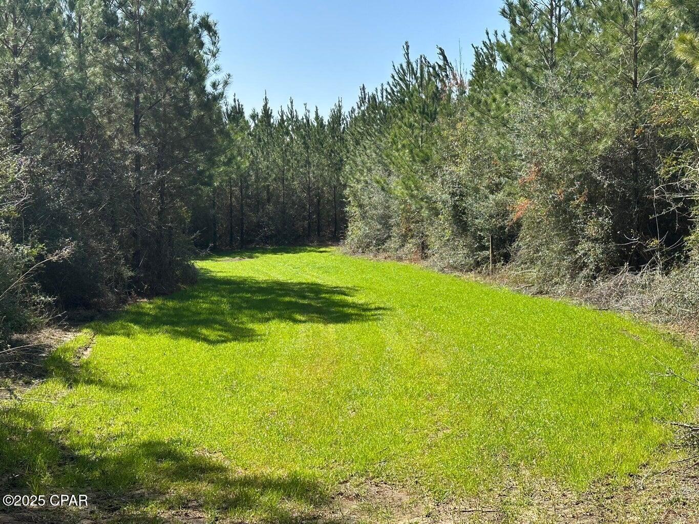 Image 8 For Tract#6416 S Douglas Ferry Road