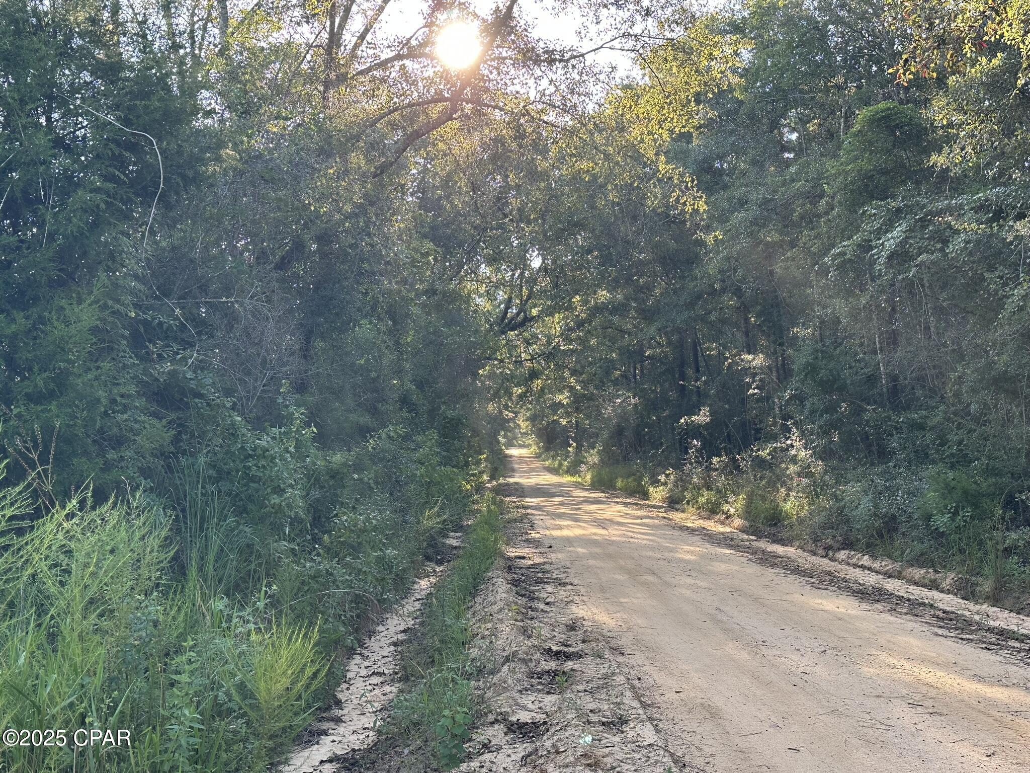 Image 1 For Tract#6201 Doyle Morgan Road