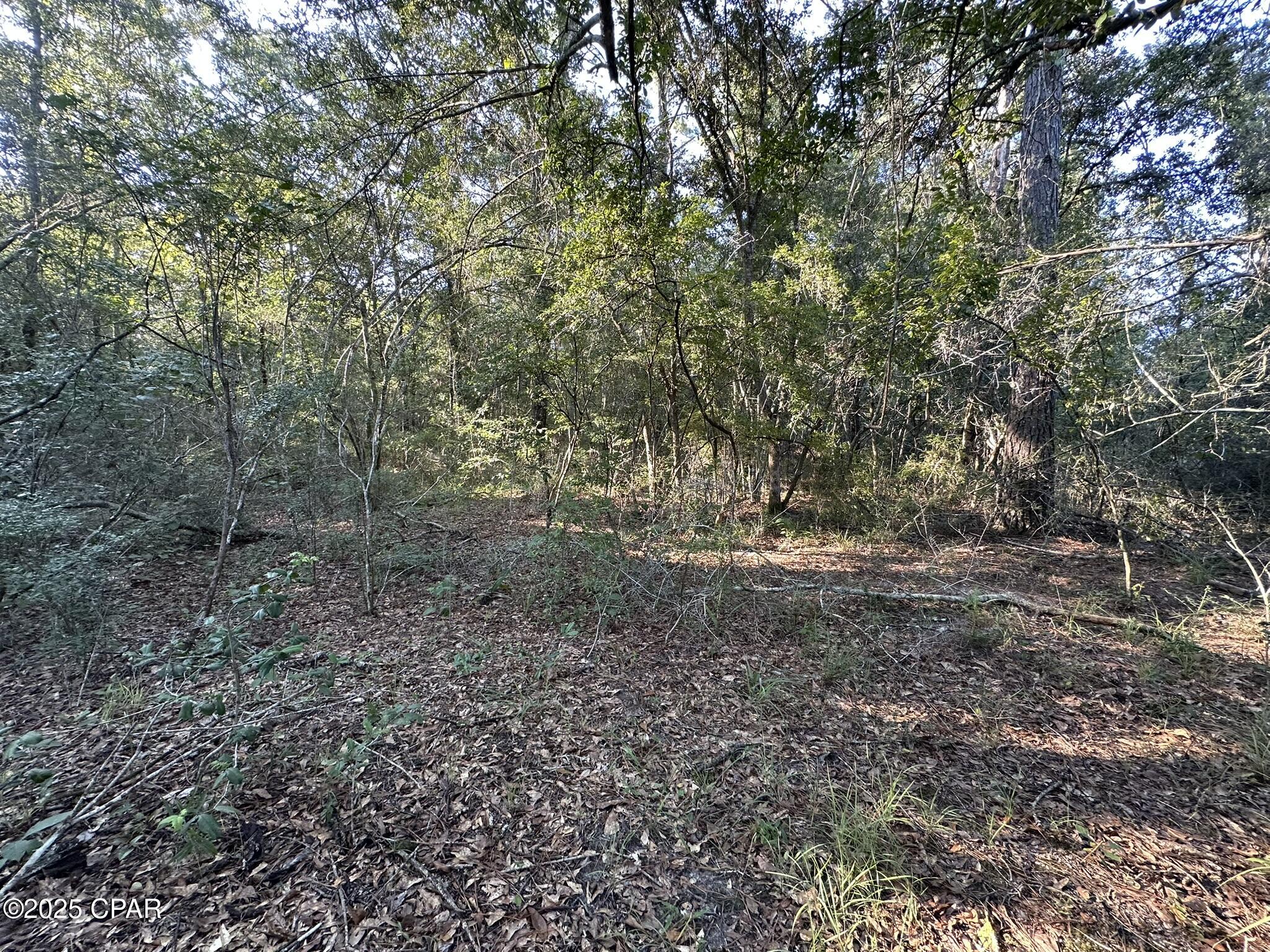 Image 11 For Tract#6201 Doyle Morgan Road