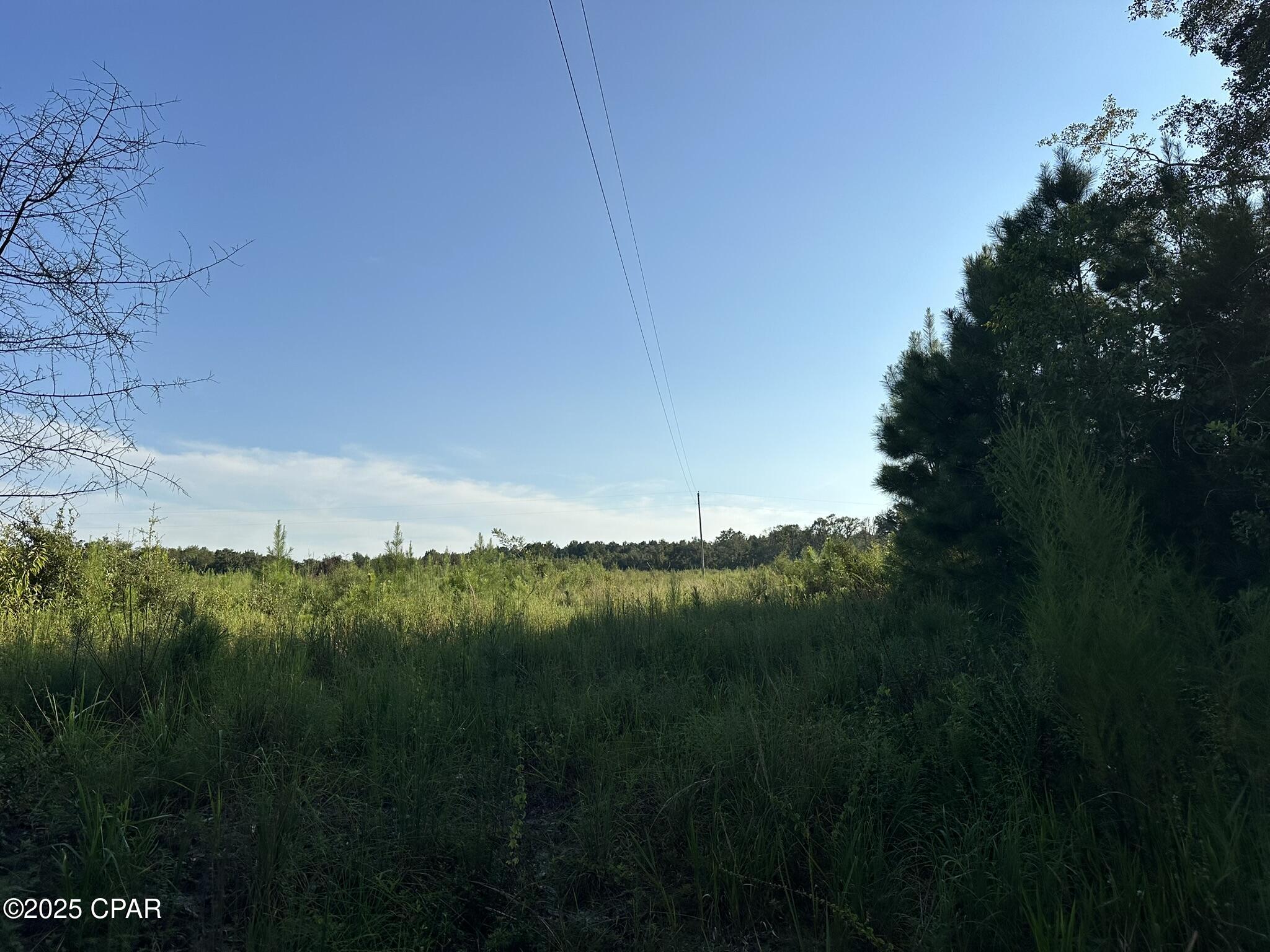 Image 12 For Tract#6201 Doyle Morgan Road