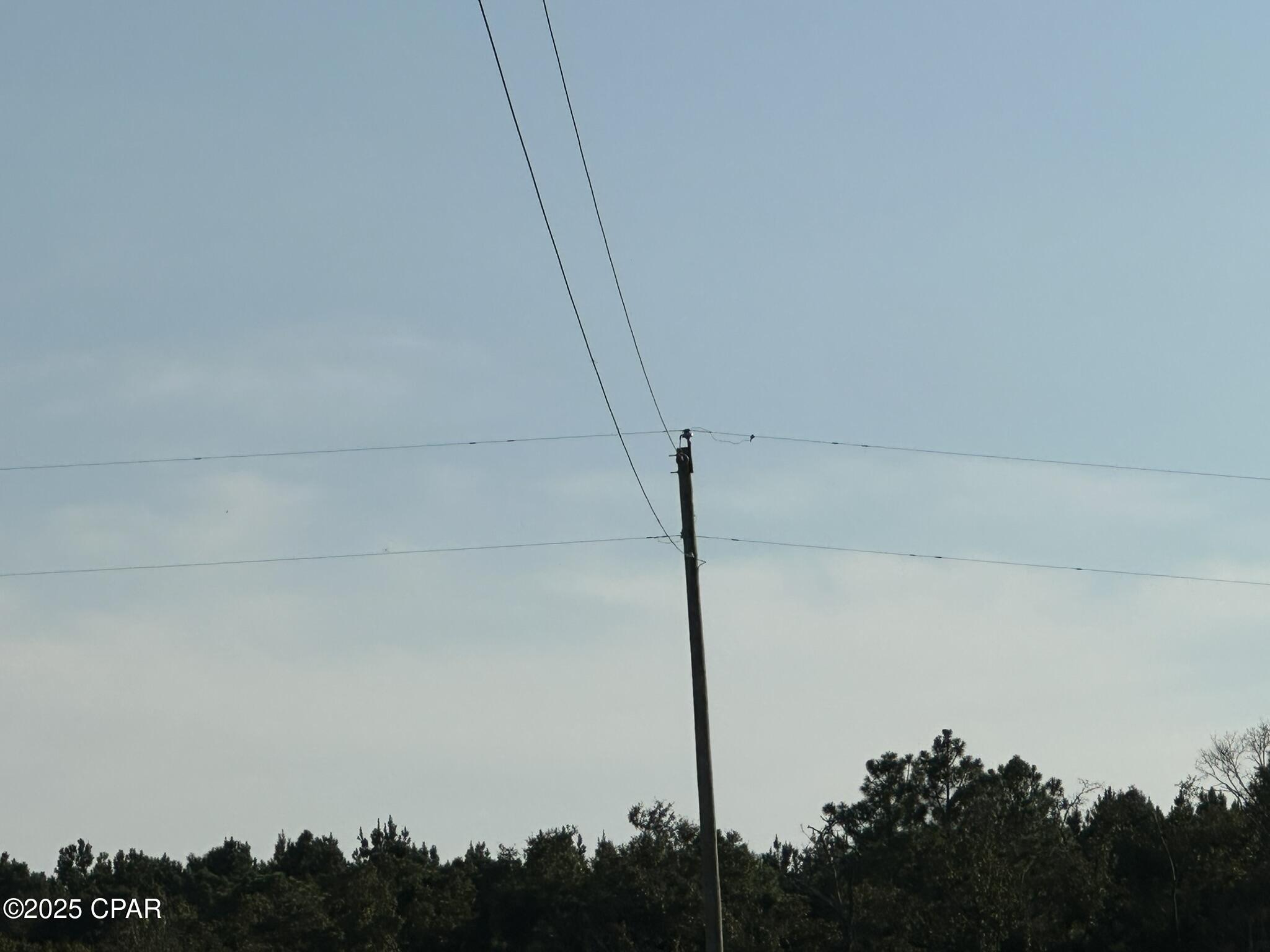 Image 13 For Tract#6201 Doyle Morgan Road