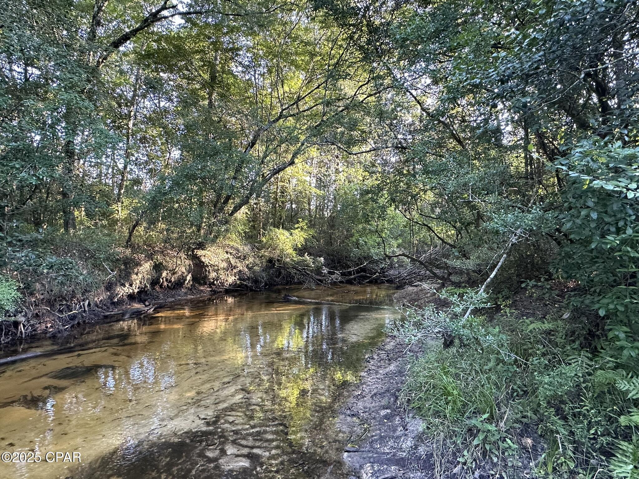 Image 14 For Tract#6201 Doyle Morgan Road