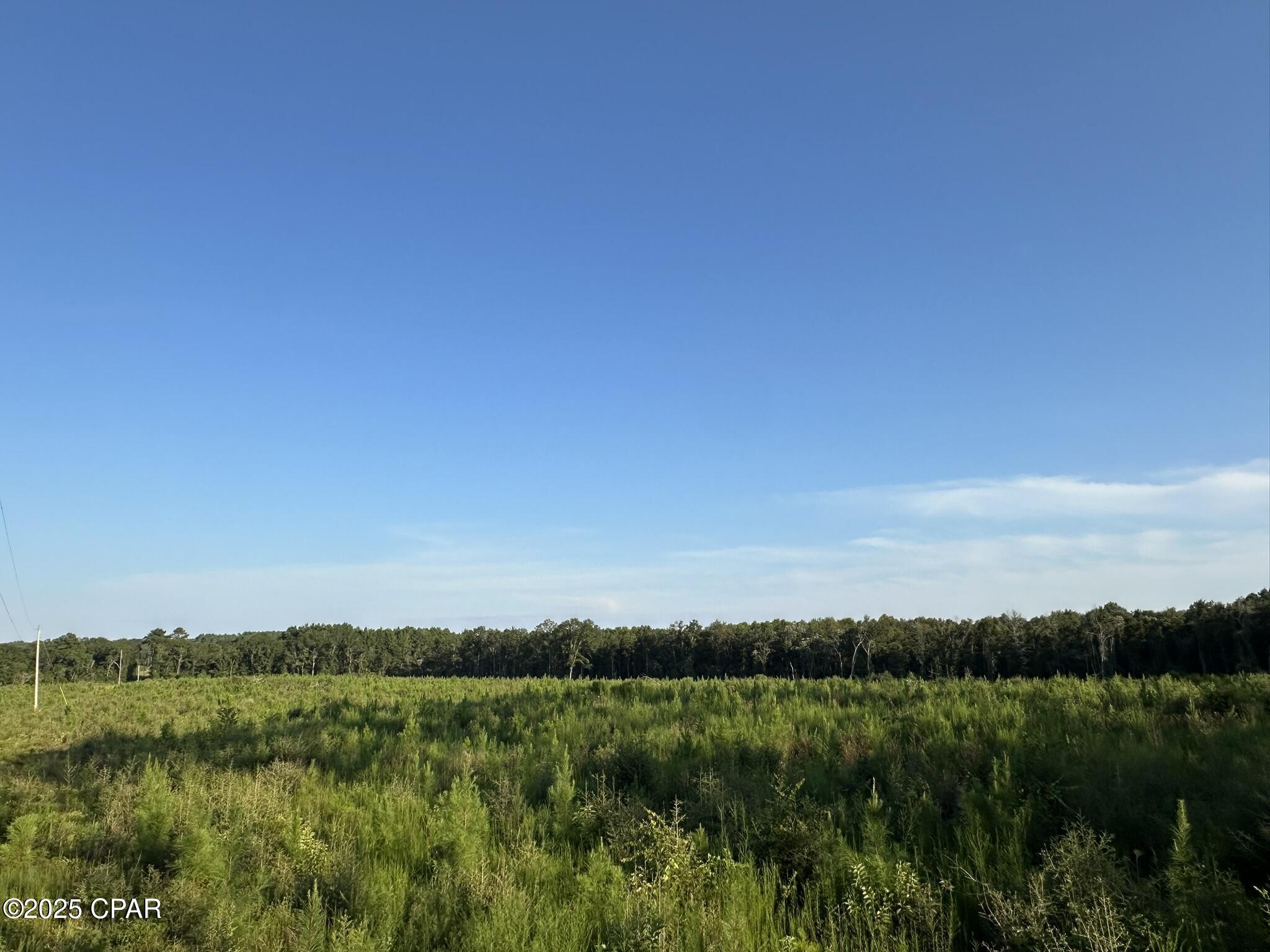 Image 17 For Tract#6201 Doyle Morgan Road