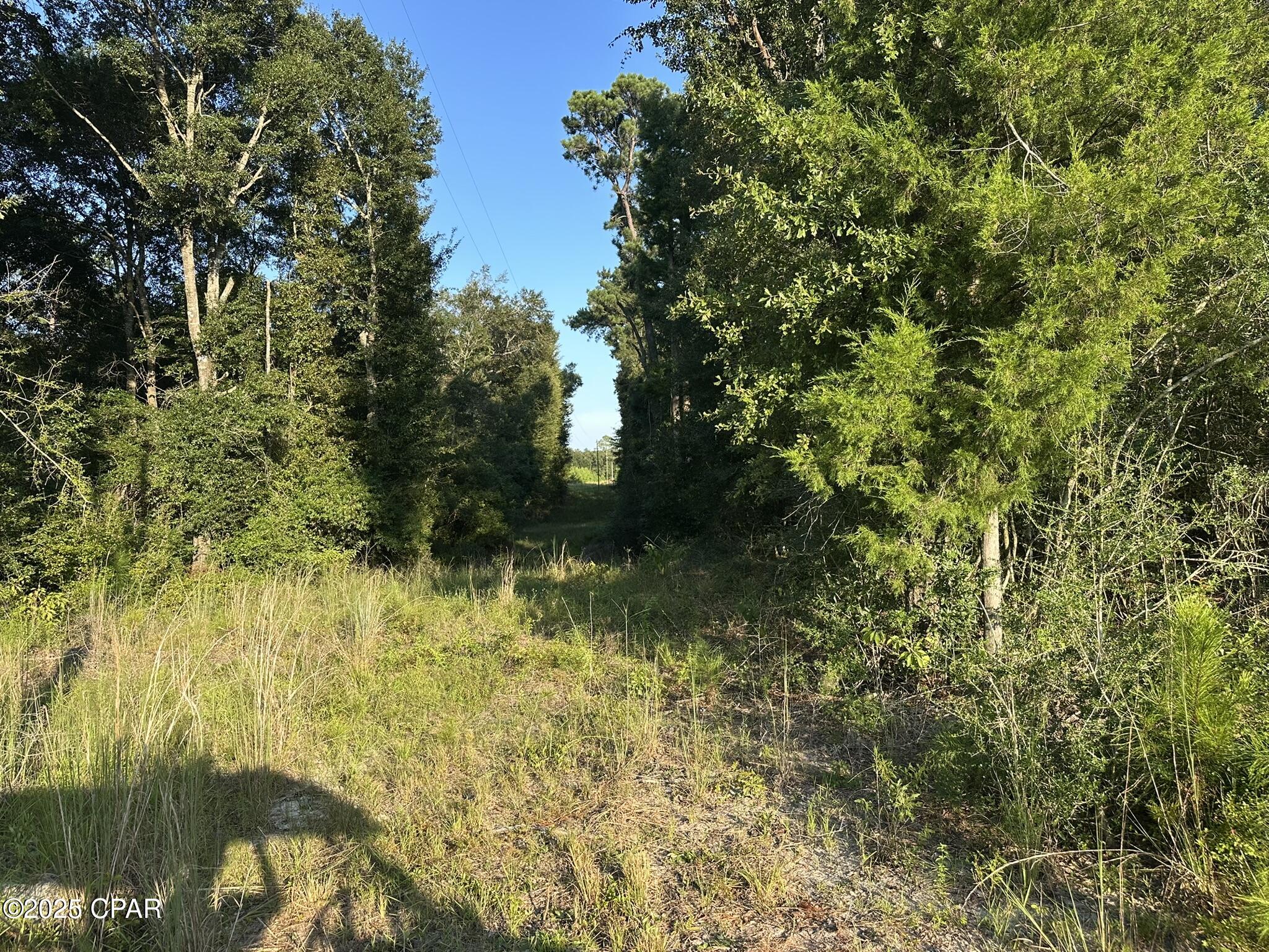 Image 19 For Tract#6201 Doyle Morgan Road