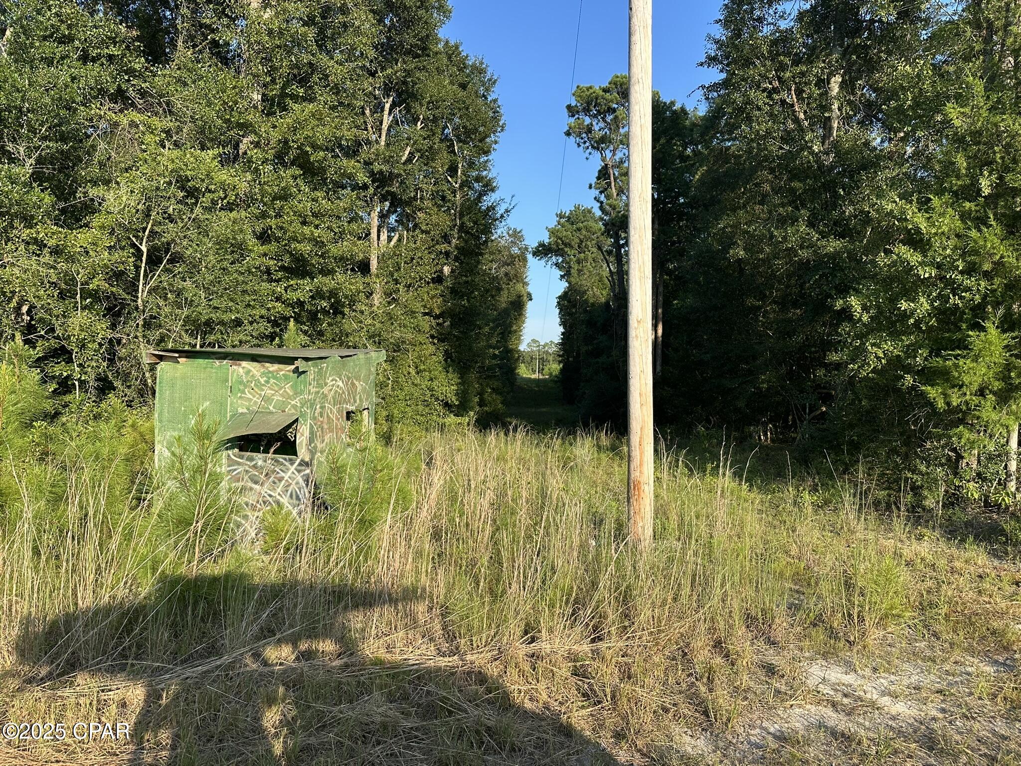 Image 19 For Tract#6201 Doyle Morgan Road