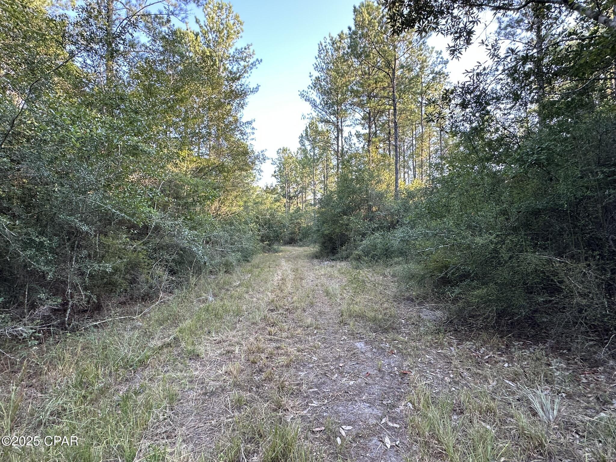 Image 22 For Tract#6201 Doyle Morgan Road