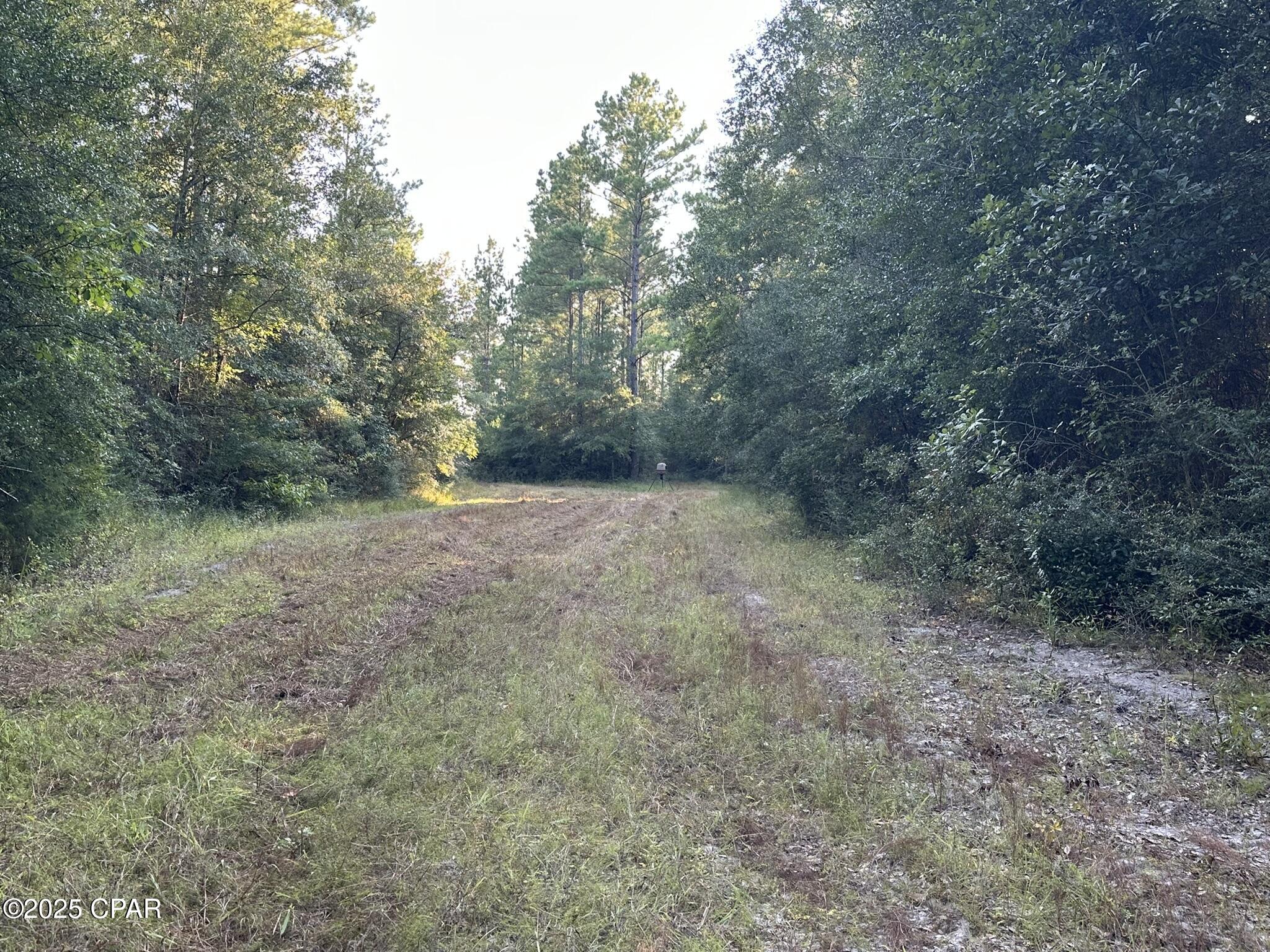 Image 22 For Tract#6201 Doyle Morgan Road