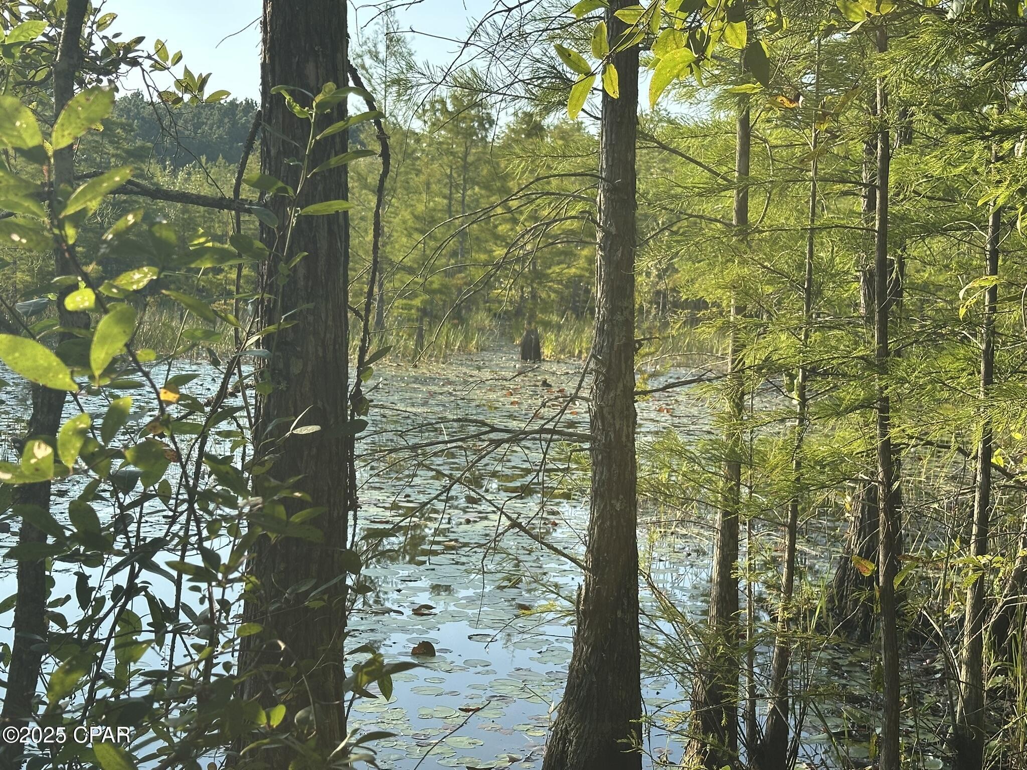 Image 24 For Tract#6201 Doyle Morgan Road