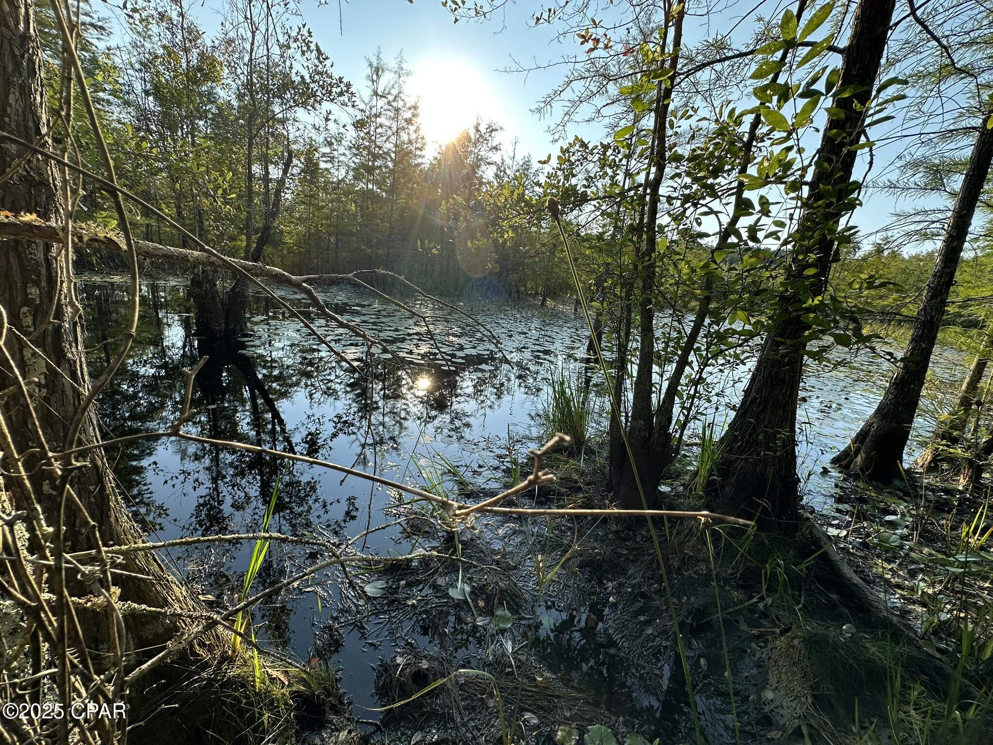 Image 25 For Tract#6201 Doyle Morgan Road