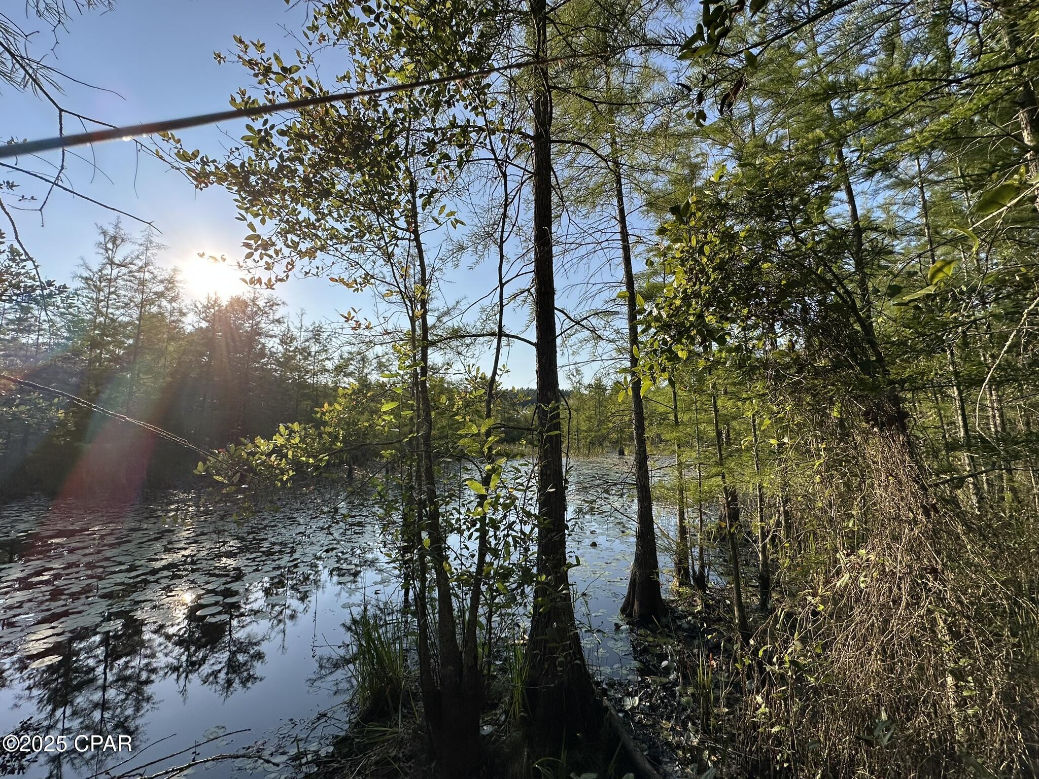 Image 26 For Tract#6201 Doyle Morgan Road