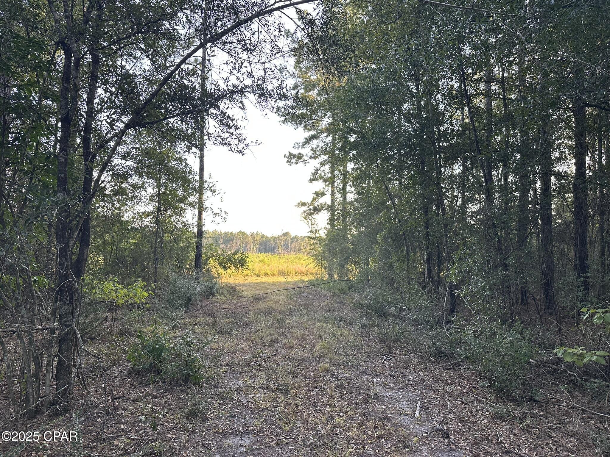 Image 28 For Tract#6201 Doyle Morgan Road