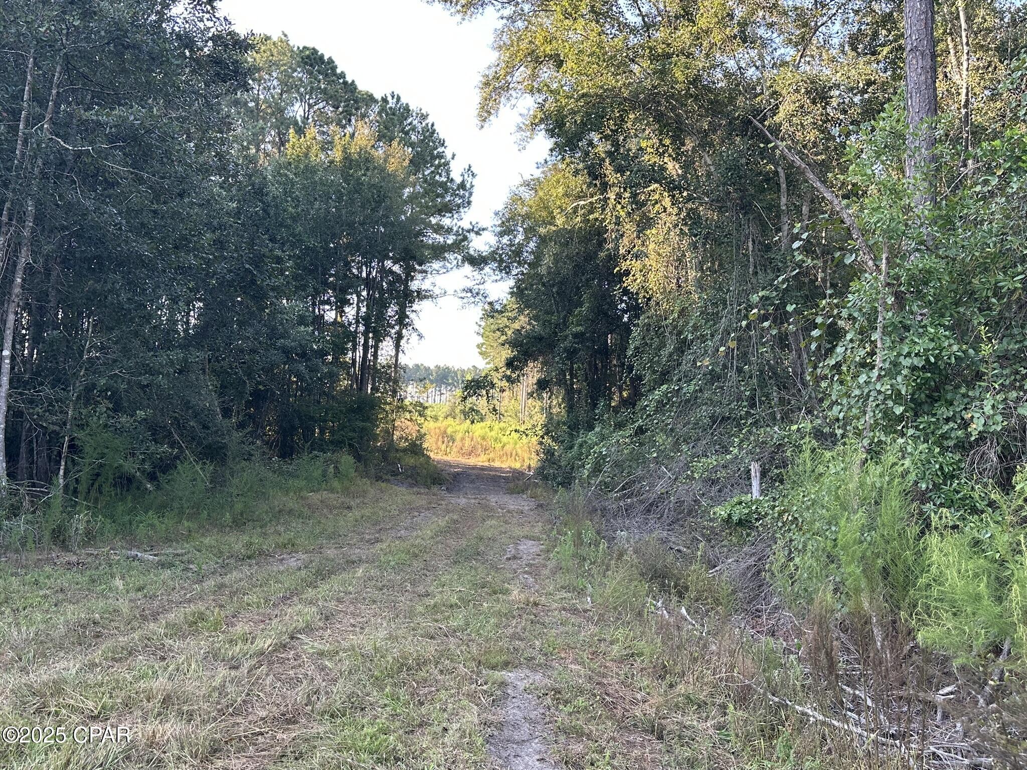 Image 29 For Tract#6201 Doyle Morgan Road