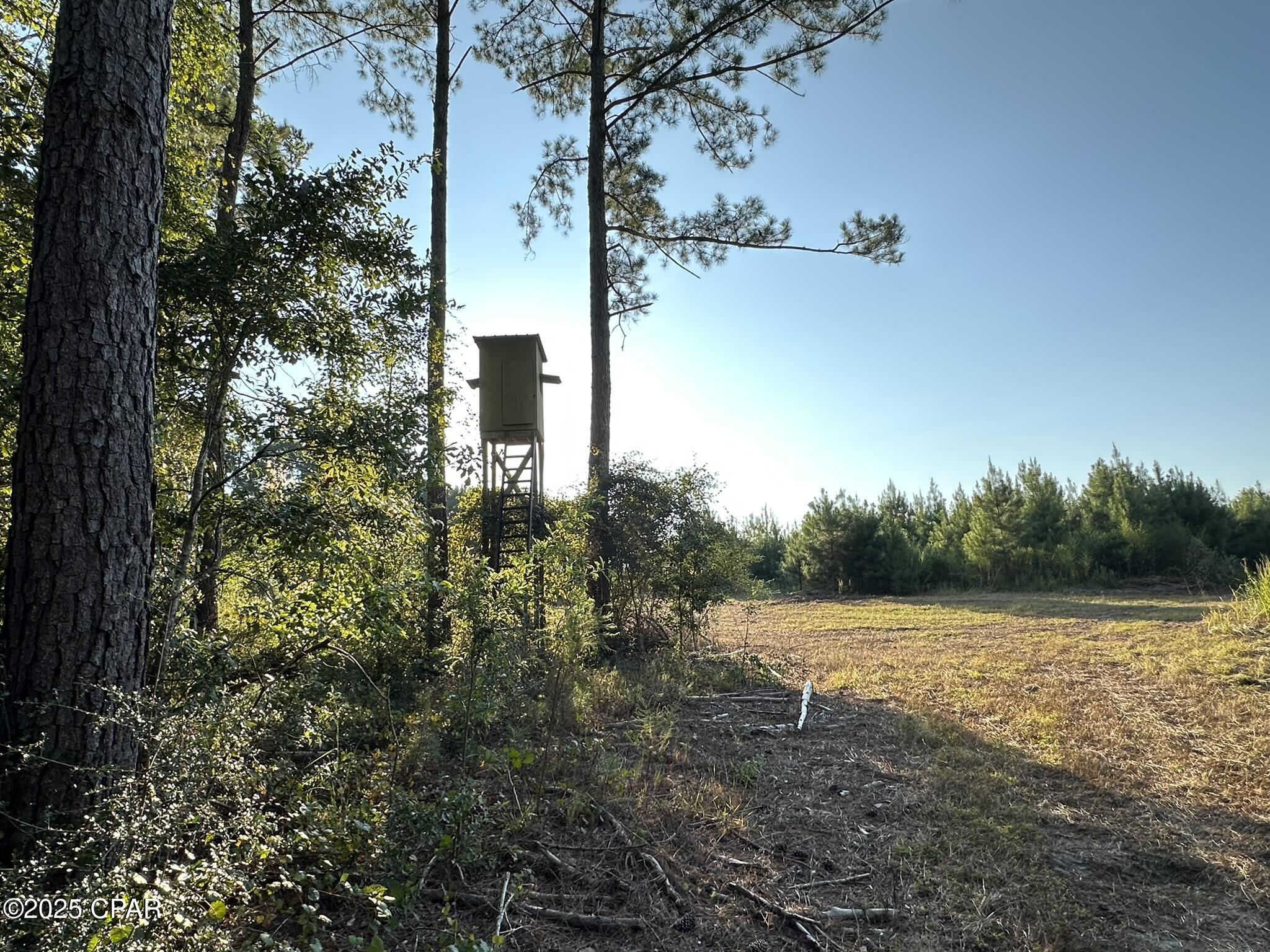 Image 30 For Tract#6201 Doyle Morgan Road