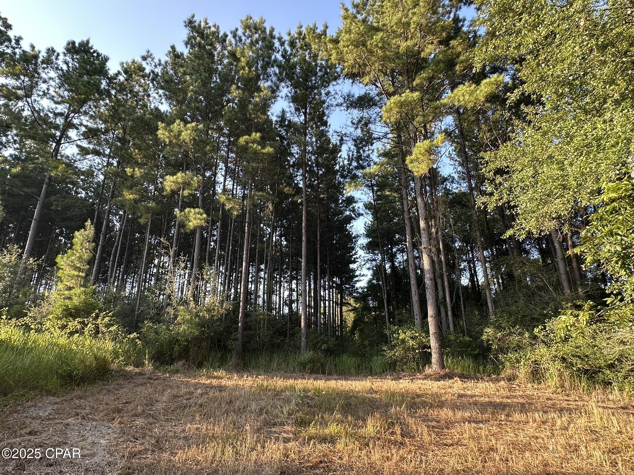 Image 33 For Tract#6201 Doyle Morgan Road