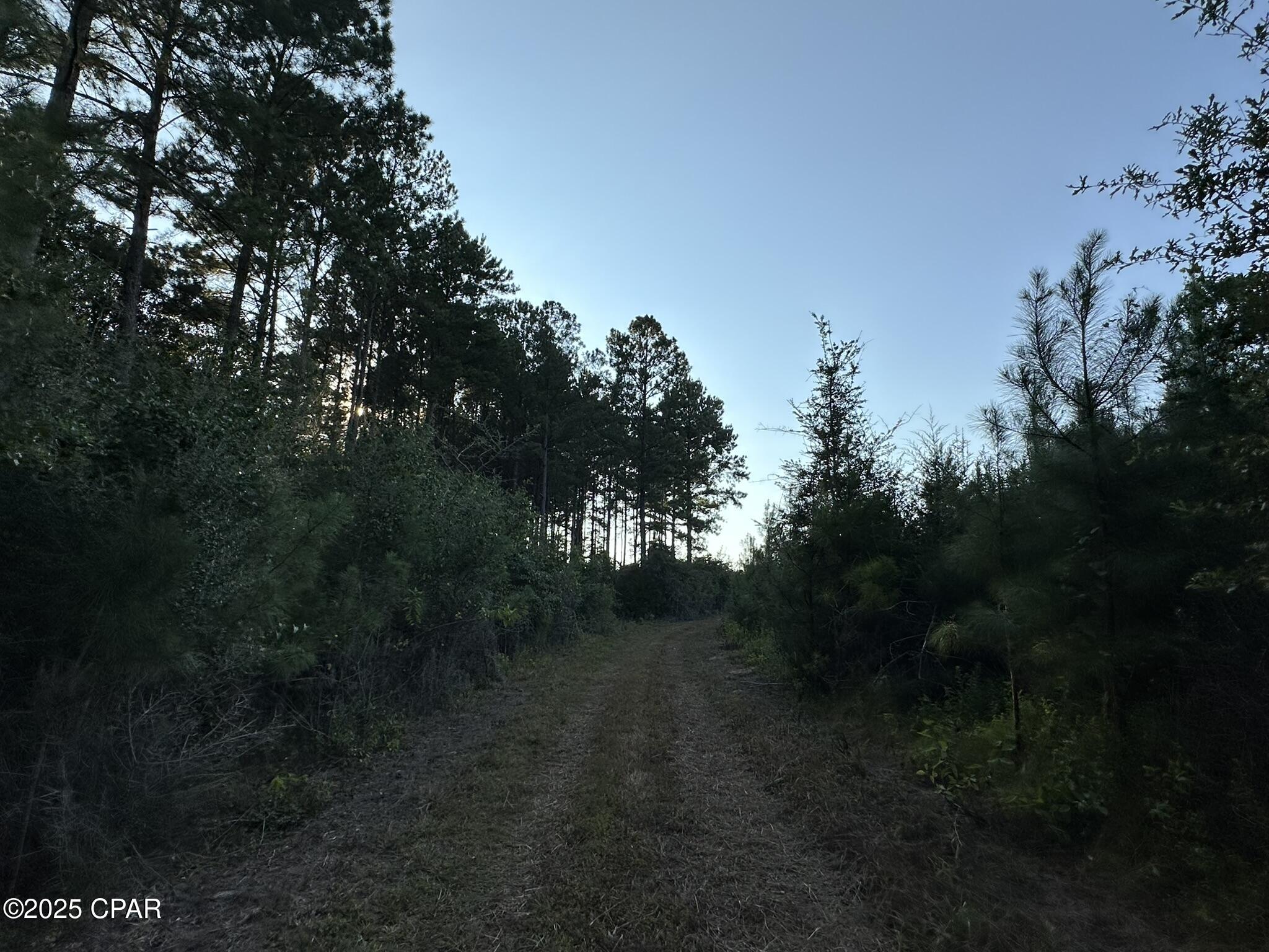 Image 34 For Tract#6201 Doyle Morgan Road