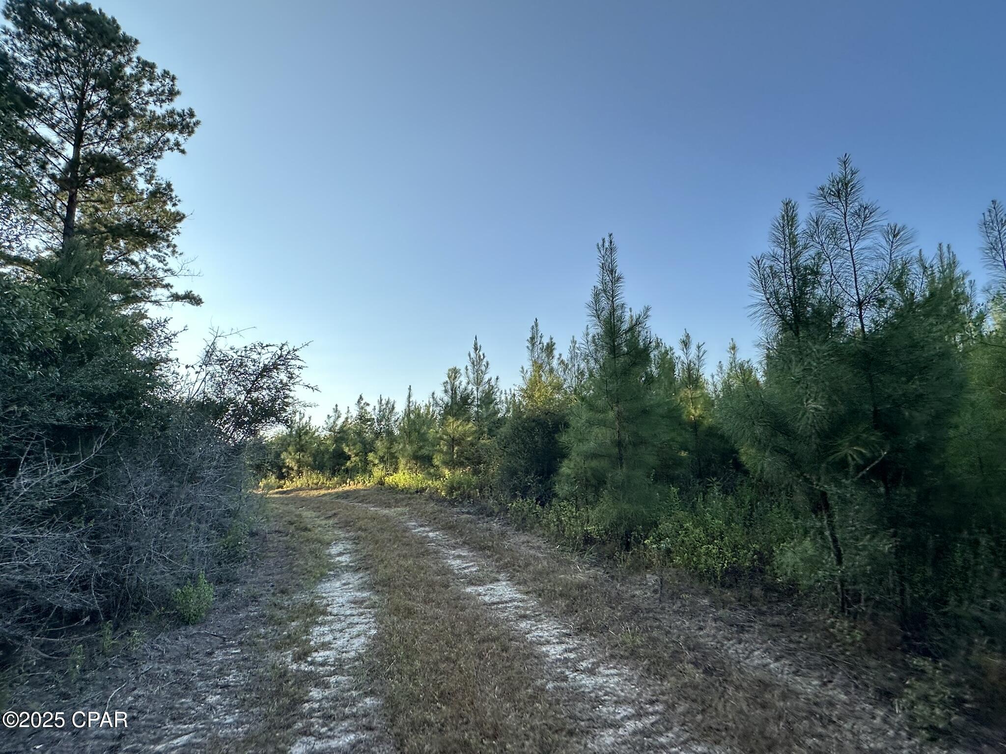 Image 35 For Tract#6201 Doyle Morgan Road