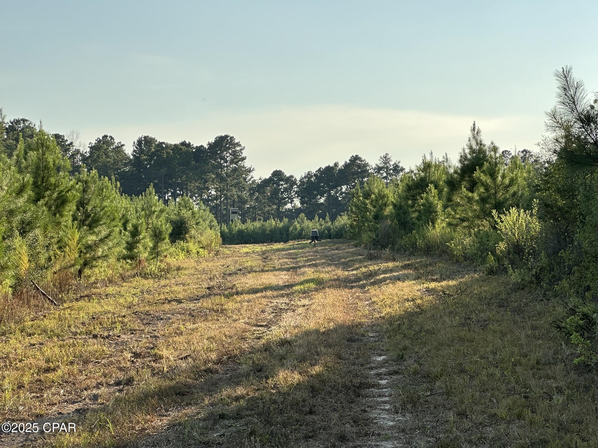 Image 36 For Tract#6201 Doyle Morgan Road