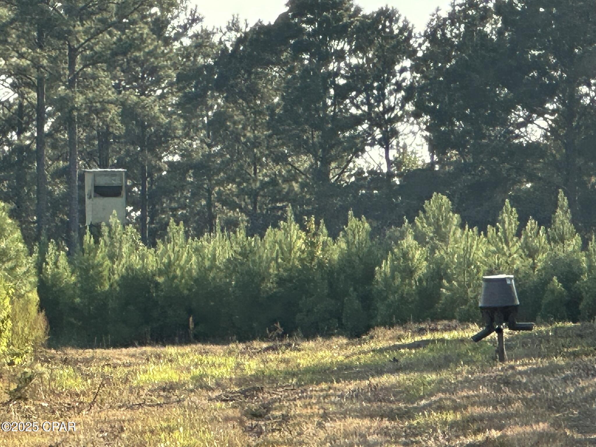 Image 37 For Tract#6201 Doyle Morgan Road