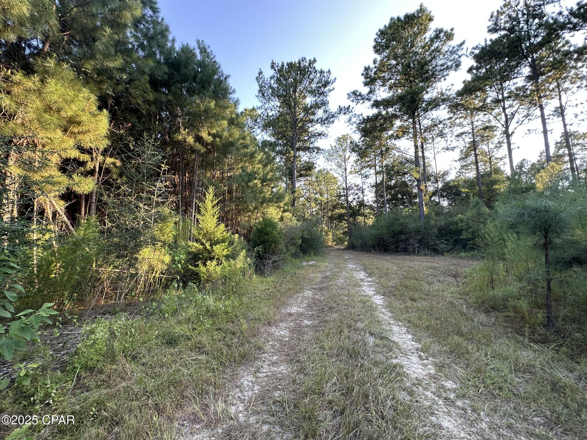 Image 38 For Tract#6201 Doyle Morgan Road