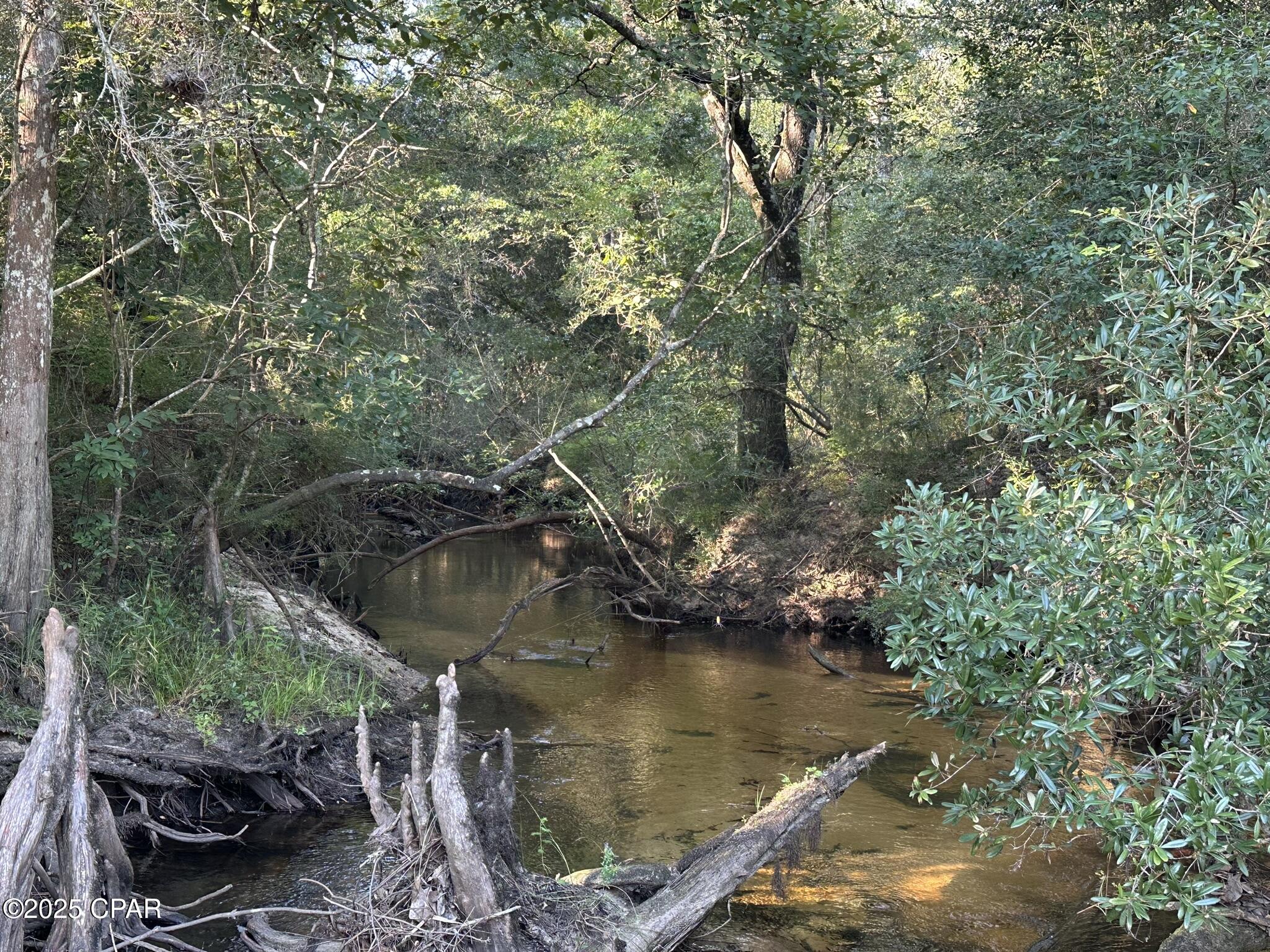 Image 4 For Tract#6201 Doyle Morgan Road