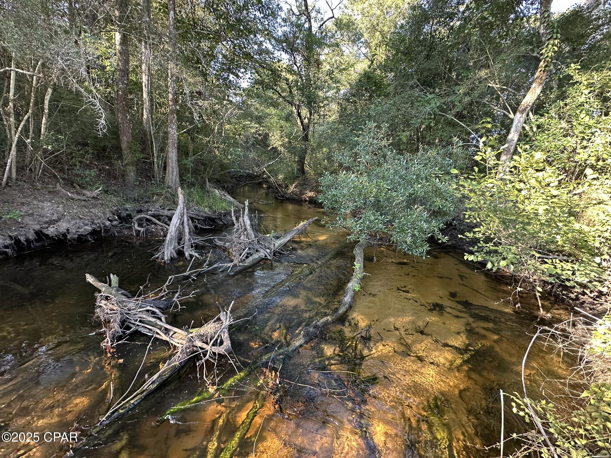 Image 4 For Tract#6201 Doyle Morgan Road