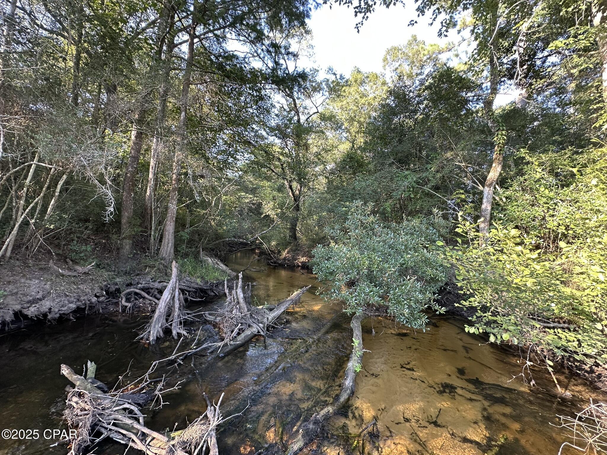 Image 5 For Tract#6201 Doyle Morgan Road