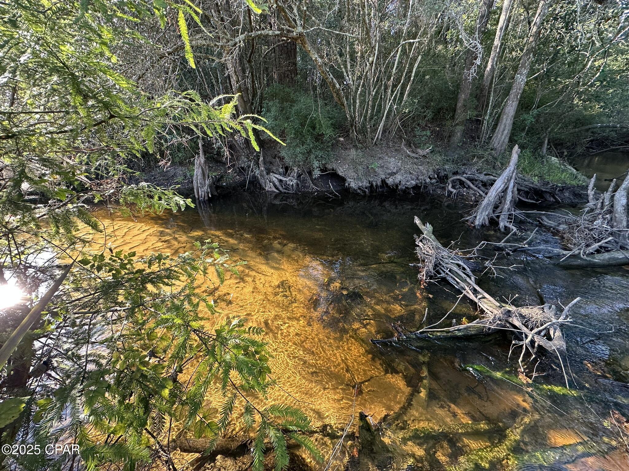 Image 7 For Tract#6201 Doyle Morgan Road