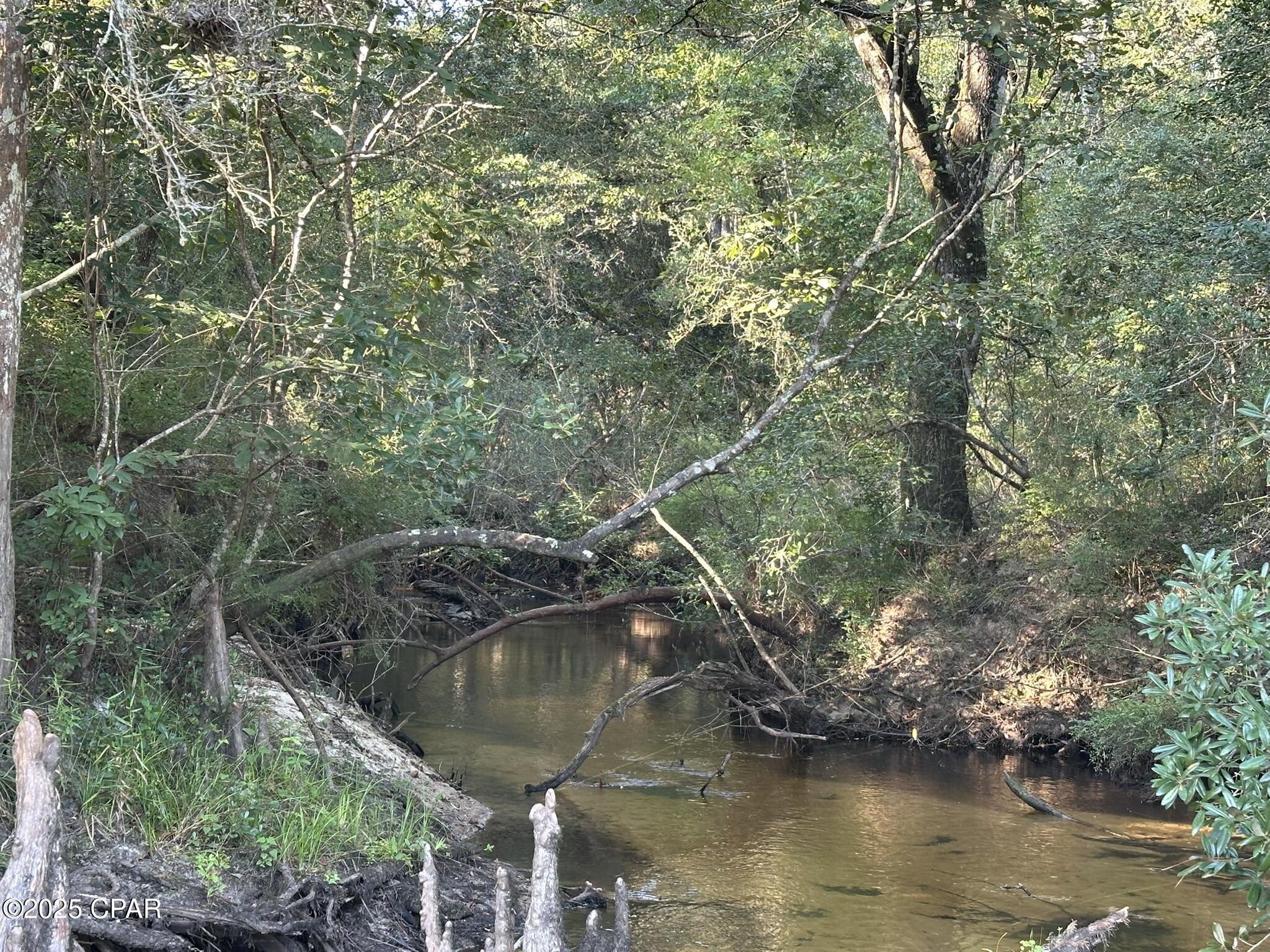 Image 8 For Tract#6201 Doyle Morgan Road