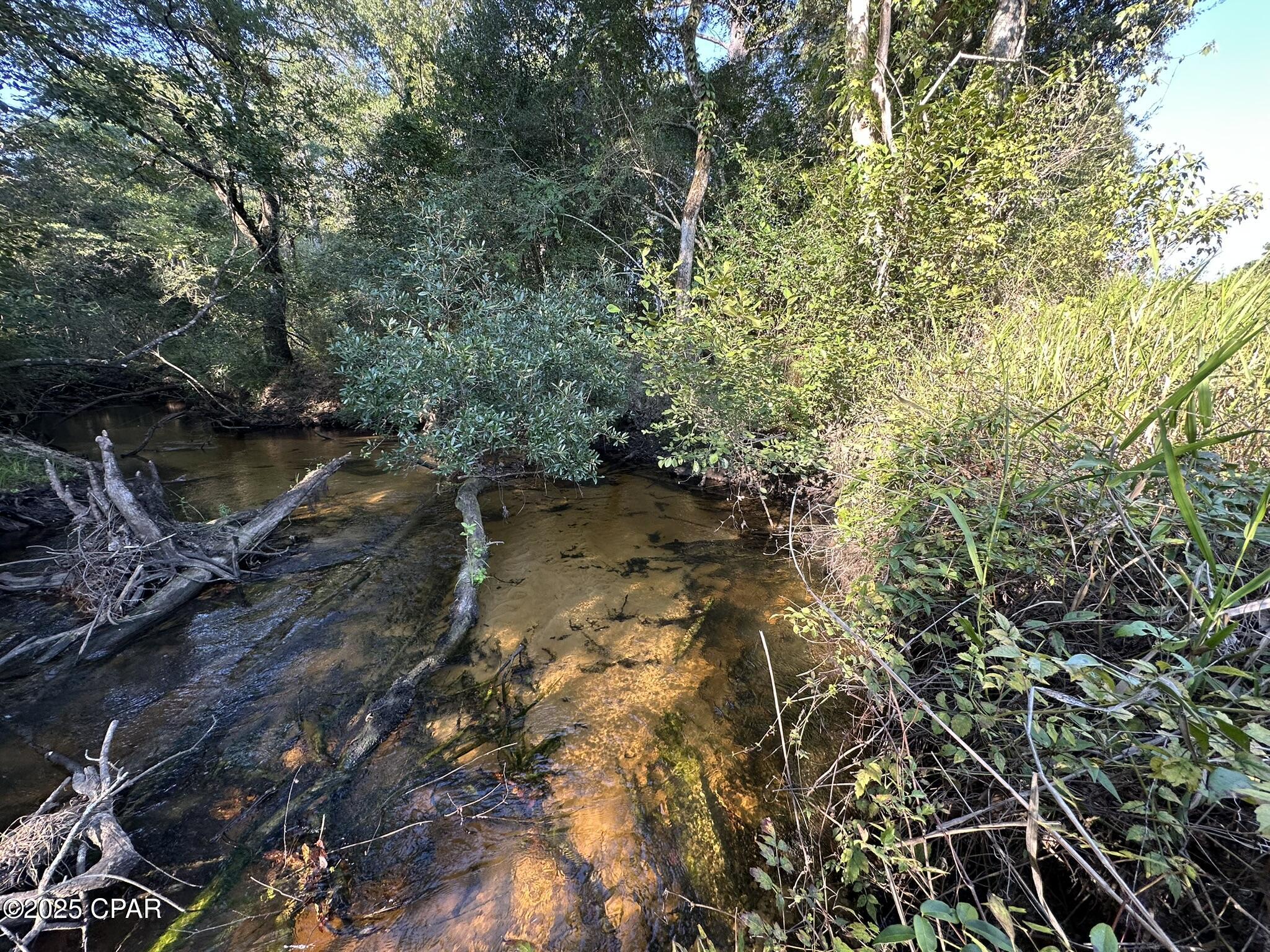 Image 8 For Tract#6201 Doyle Morgan Road