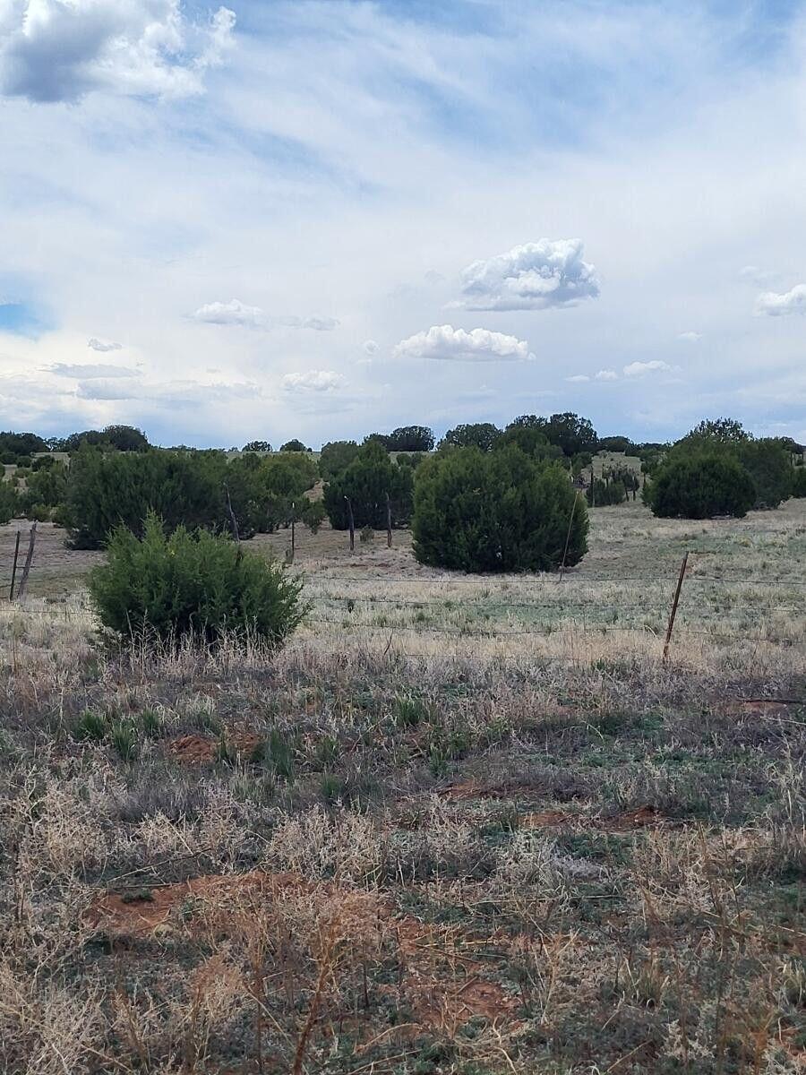 Homes for sale in Moriarty, NM | Bullion Rd, Moriarty, NM 87035 | MLS# 1090133