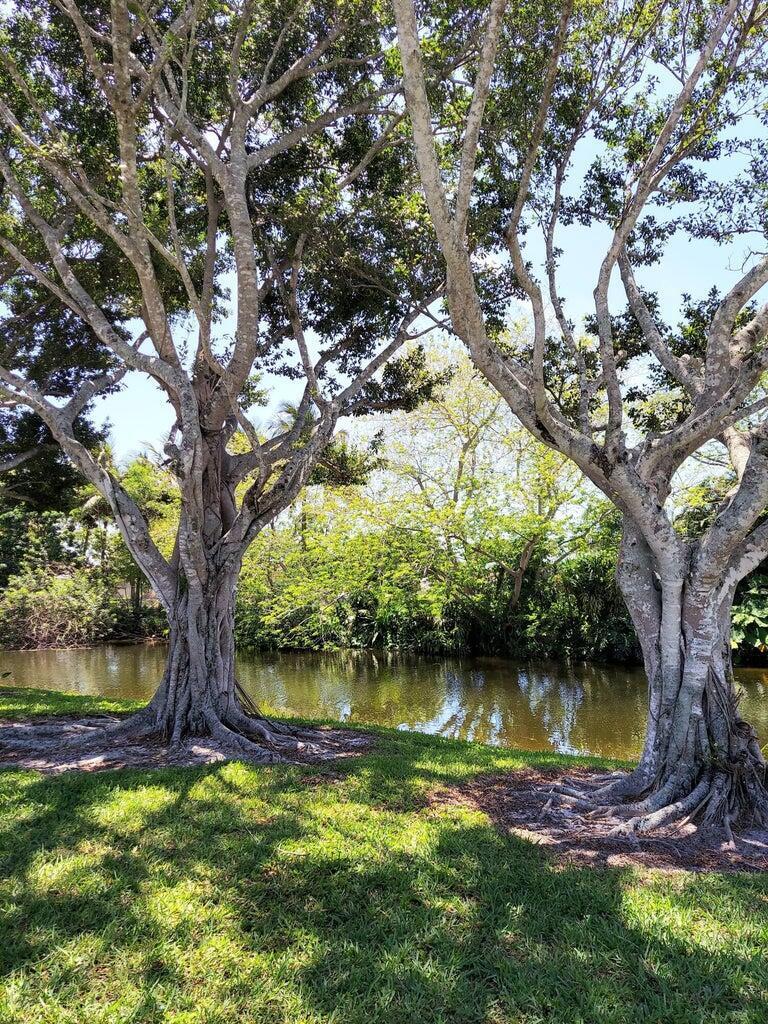 Homes for sale in Royal Palm Beach, FL | 12019 W Greenway Dr #203, Royal Palm Beach, FL 33411 | MLS# R11117662