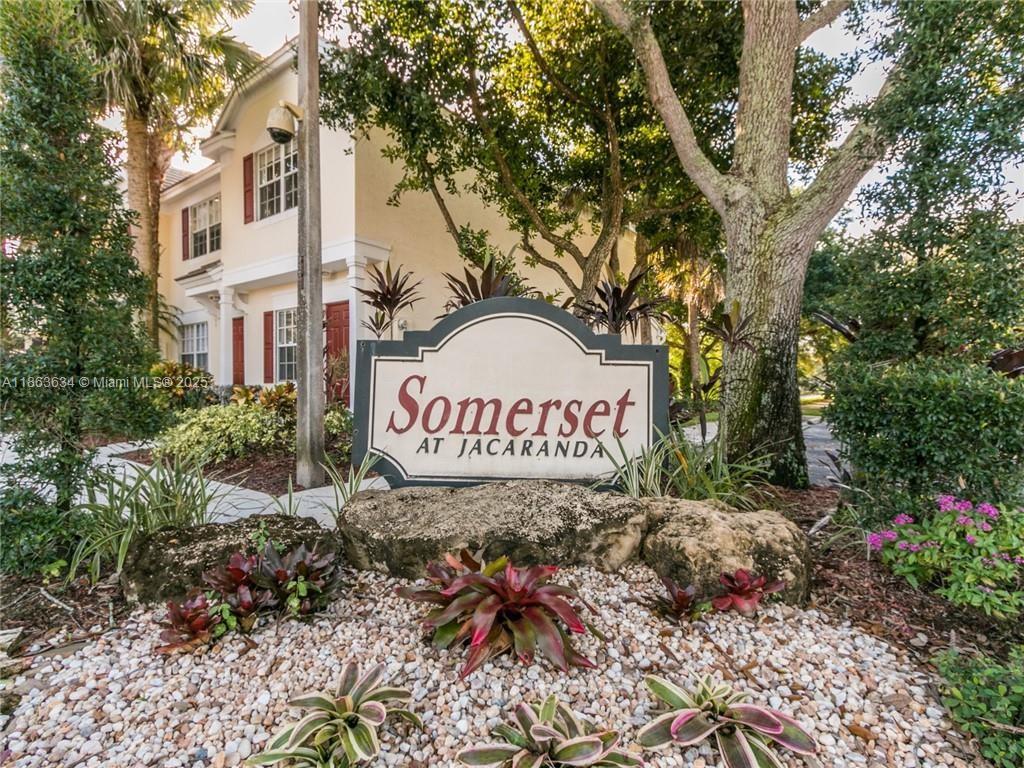 Fountains Of Jacaranda
