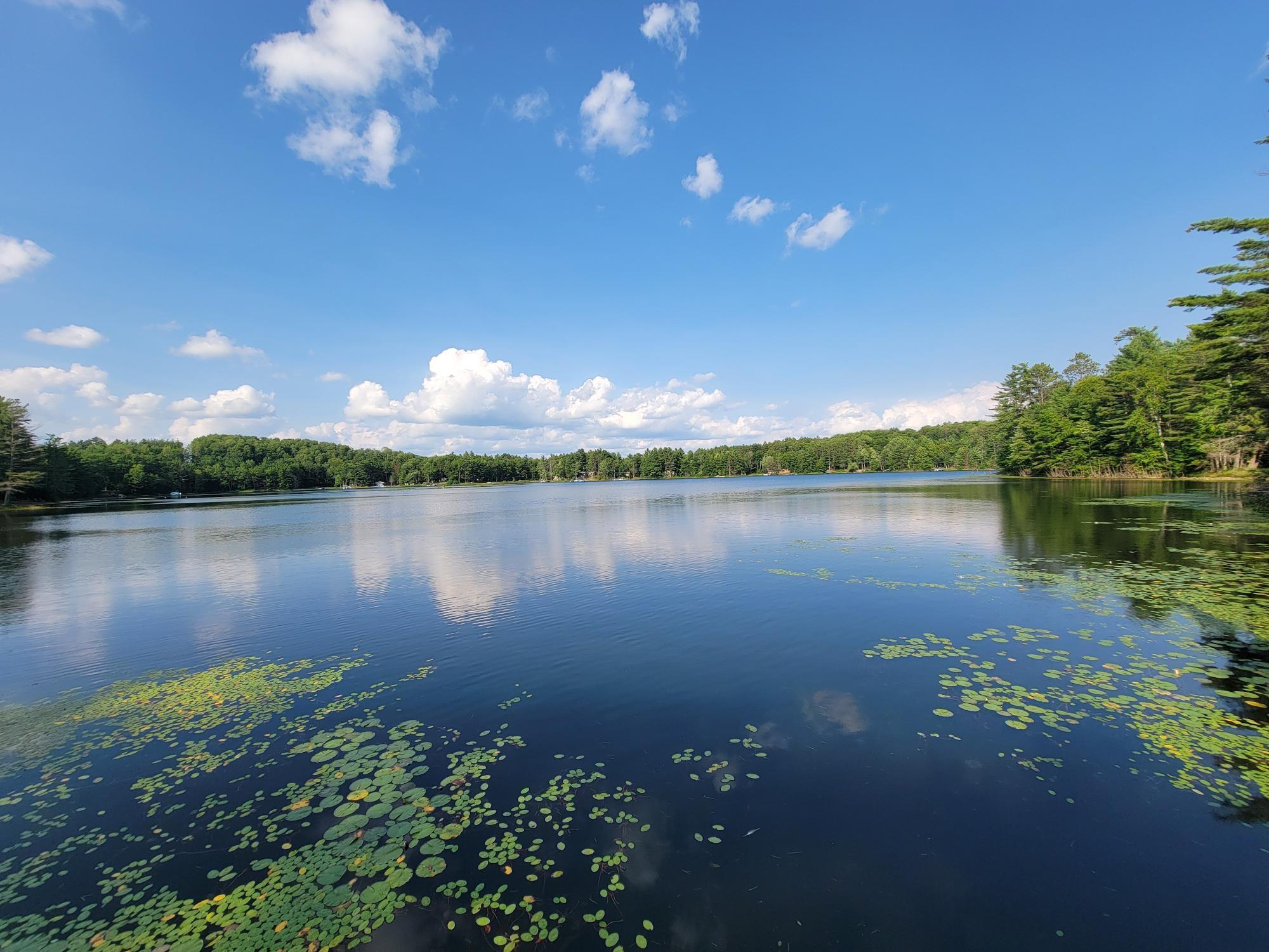 Bills Lake Property 1800 Bills Lake Rd Photo 29