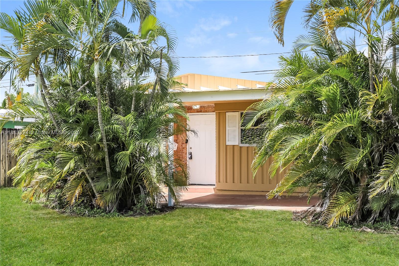 North Andrews Gardens Fir