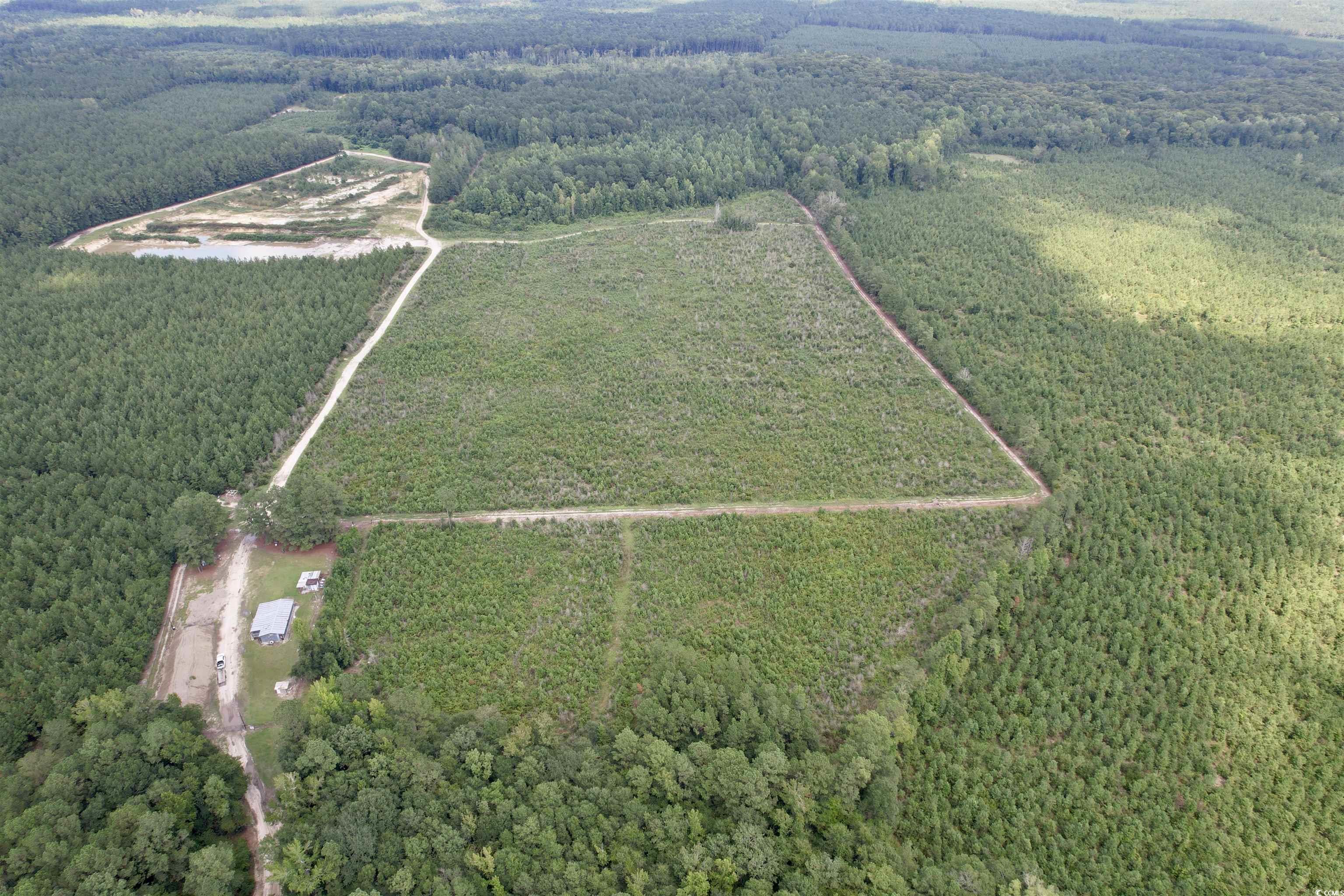 97.83 Acre Sugar Hill Fox Rd. Pamplico, SC 29583