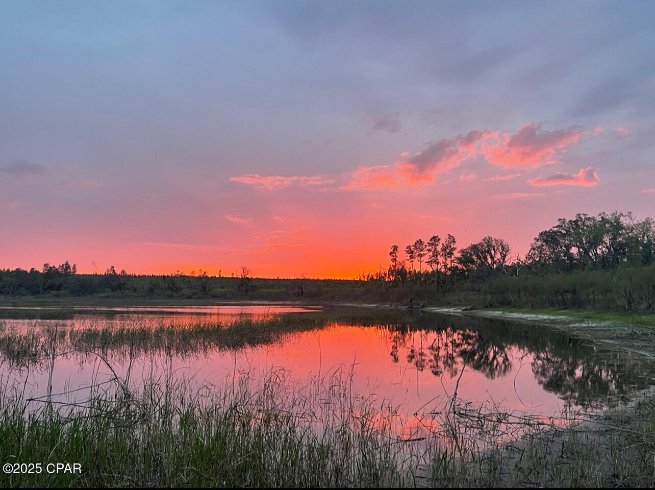 Image 35 For 2094 Morven Street